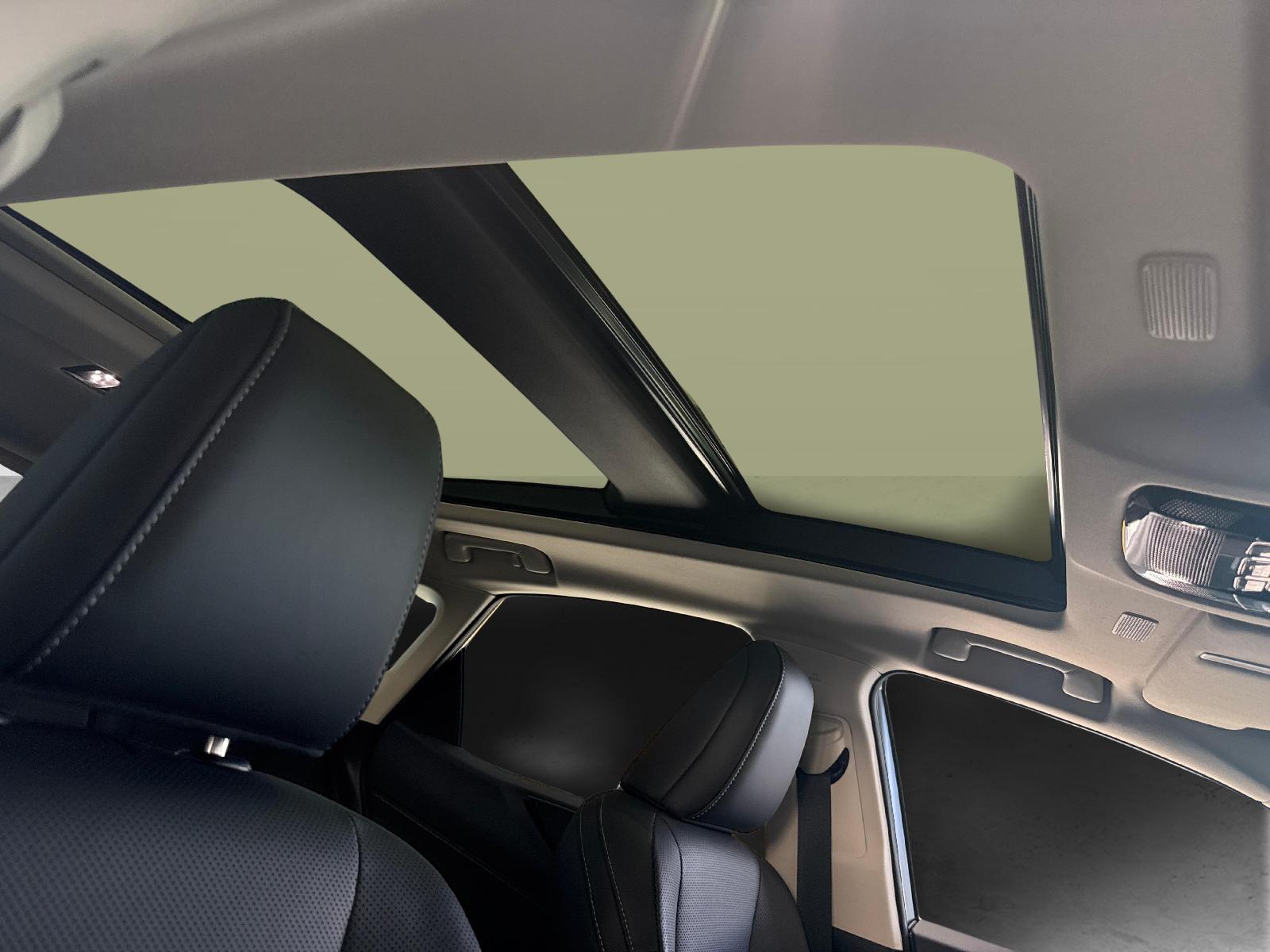 LEXUS NX 450h+ Excellence-image-13
