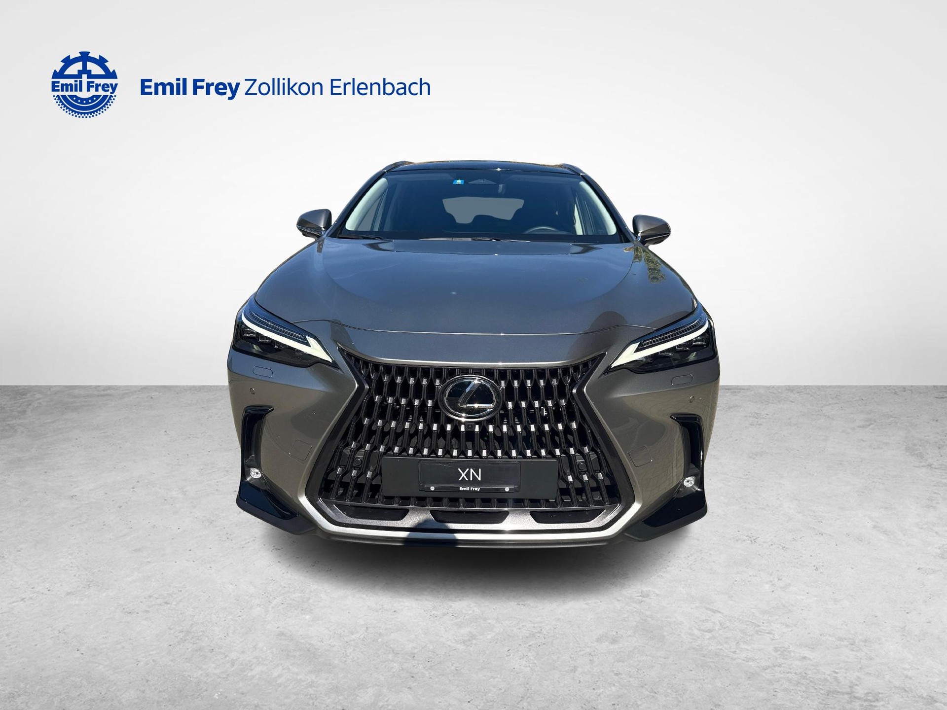LEXUS NX 450h+ Excellence-image-7