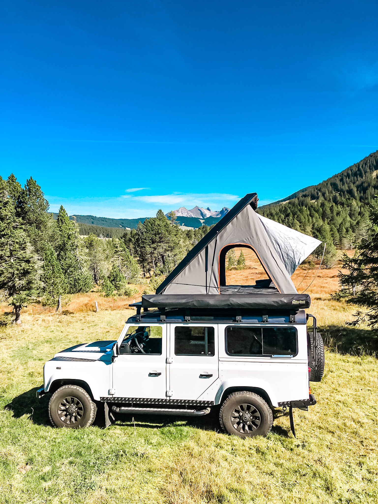 LAND ROVER Defender 110 2.2 TD4 Station Wagon-image-3