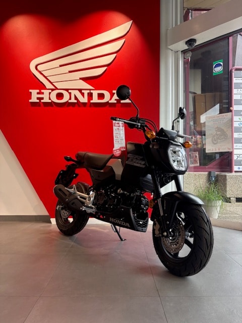 HONDA MSX 125-image-9