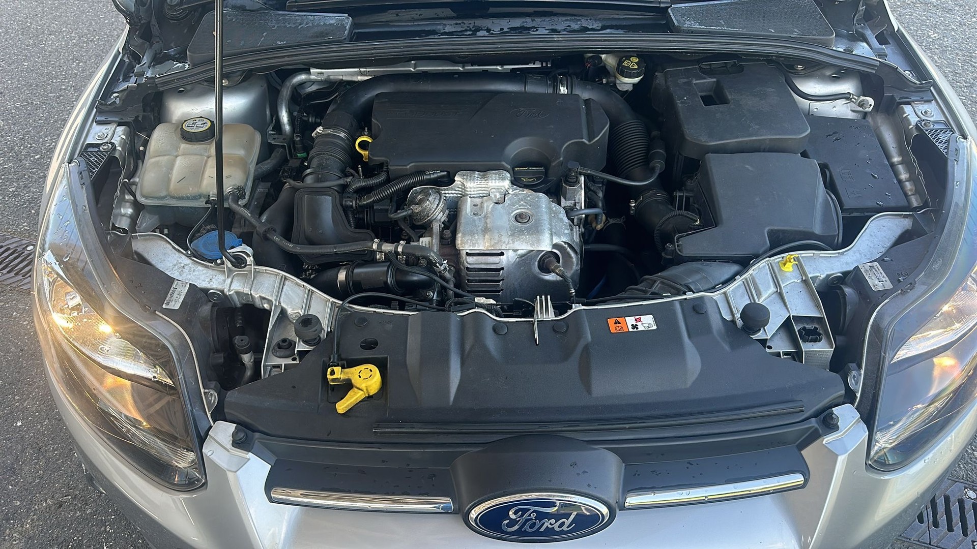 FORD Focus 1.0 SCTi Trend-image-10