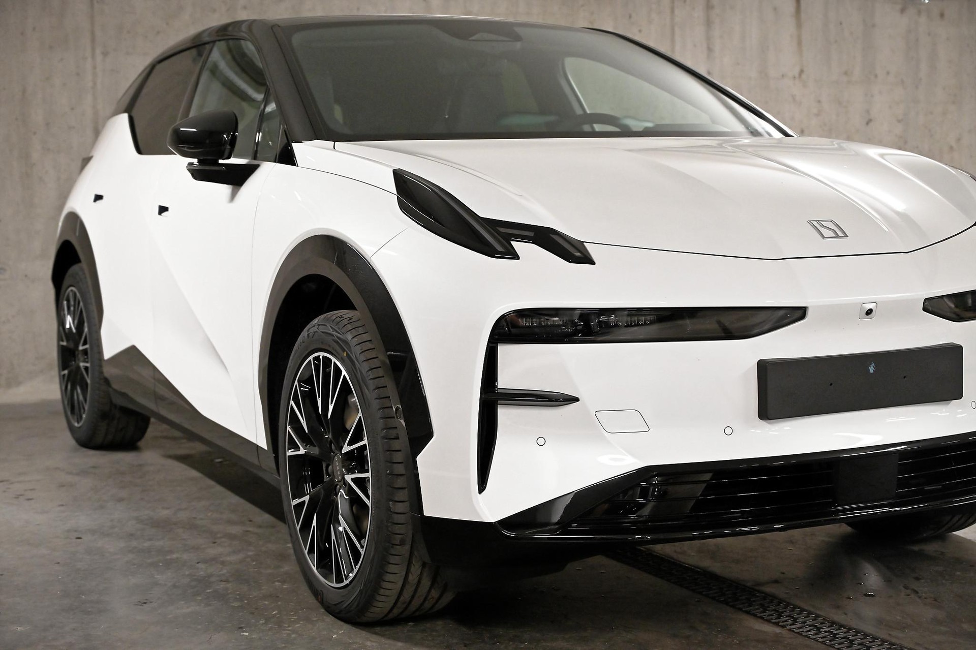ZEEKR X Privilege AWD-image-9