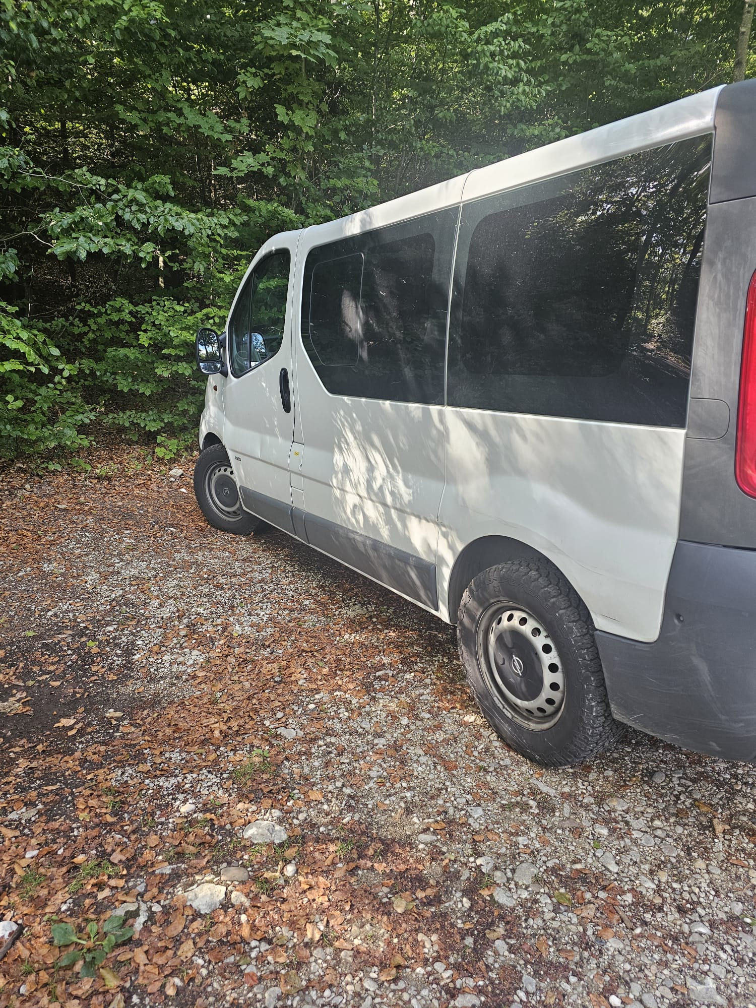 OPEL VIVARO 2.5cdti L1H1-image-1