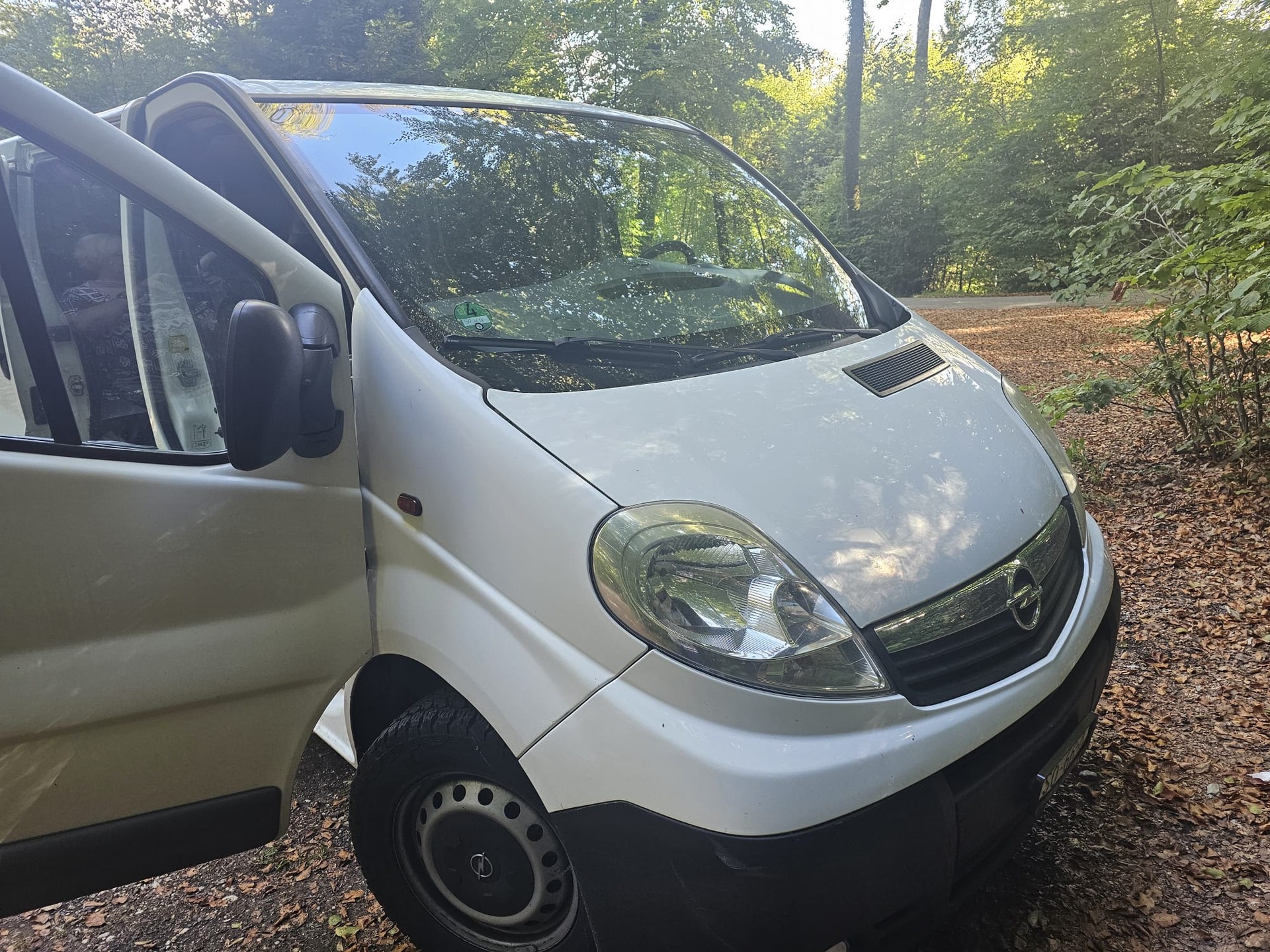 OPEL VIVARO 2.5cdti L1H1-image-0