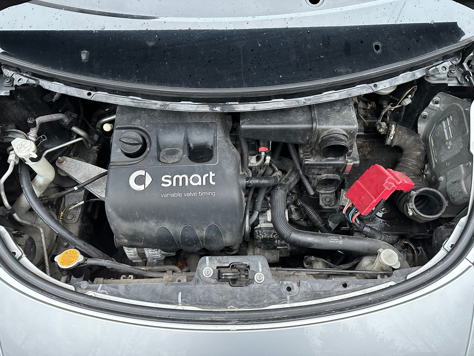 SMART forfour 1.1 pulse FIXPREIS-image-10