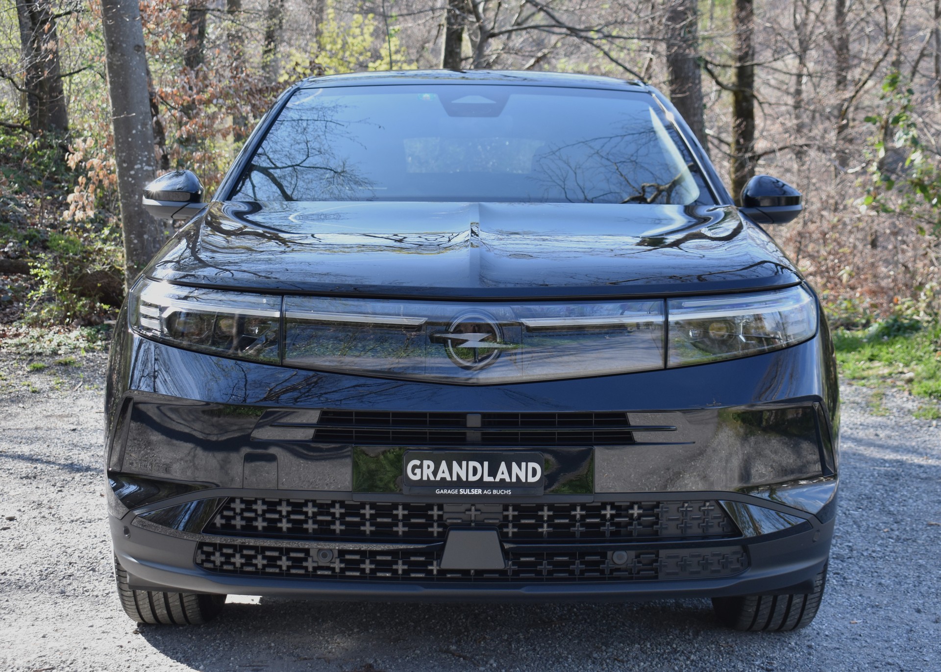 OPEL Grandland 1.2MHEV GS eDCT-showroom-element-1