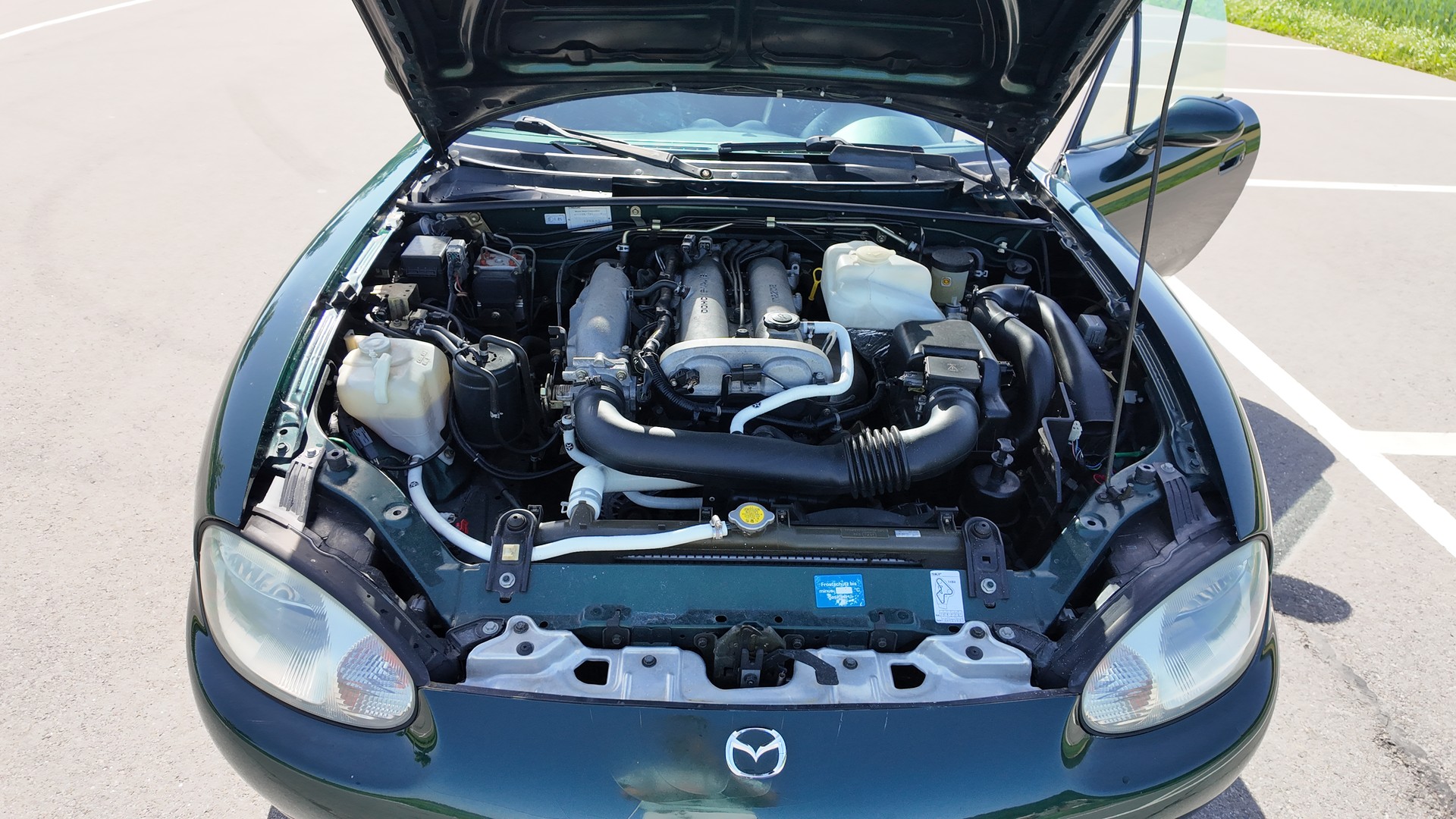 MAZDA 1.6 Youngster-image-3
