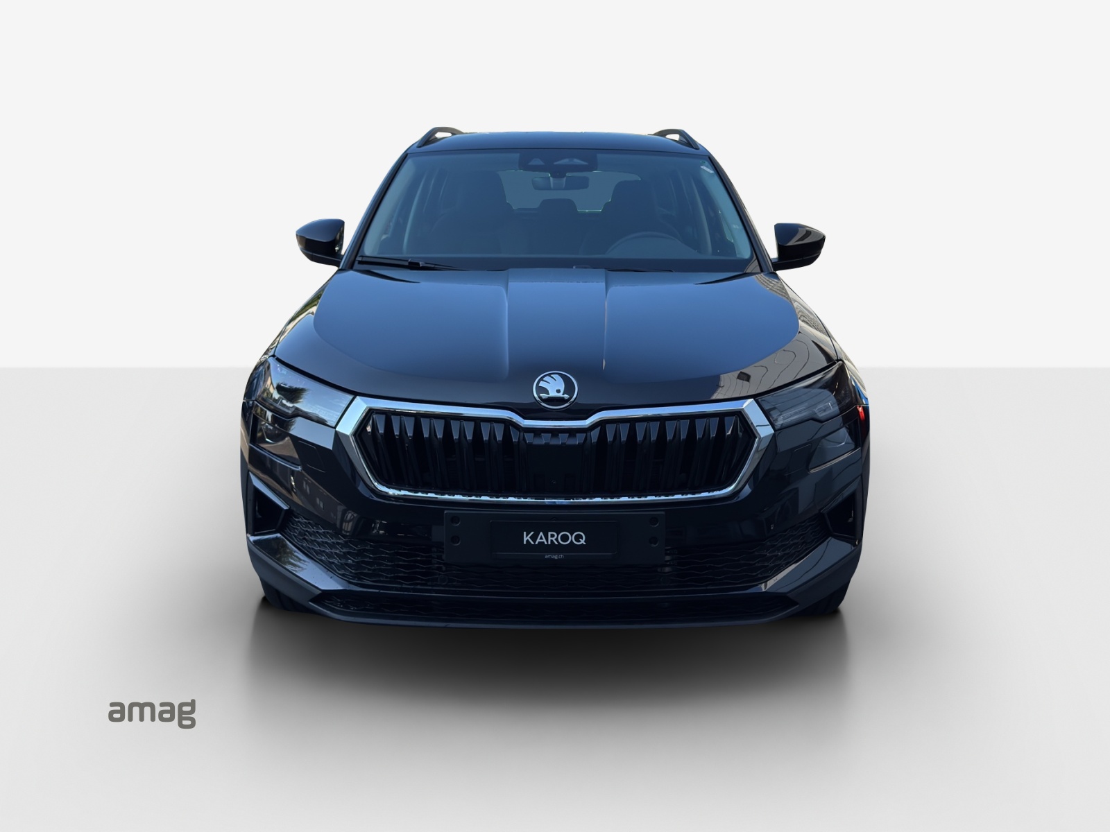 SKODA Karoq 1.5 TSI Dynamic DSG-image-6