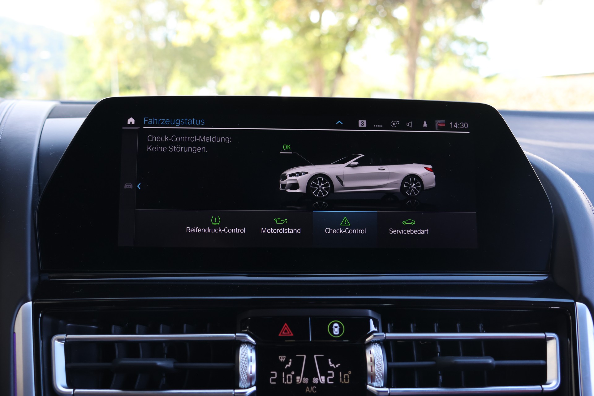 BMW M850i xDrive Steptronic Individual (CH)-image-22