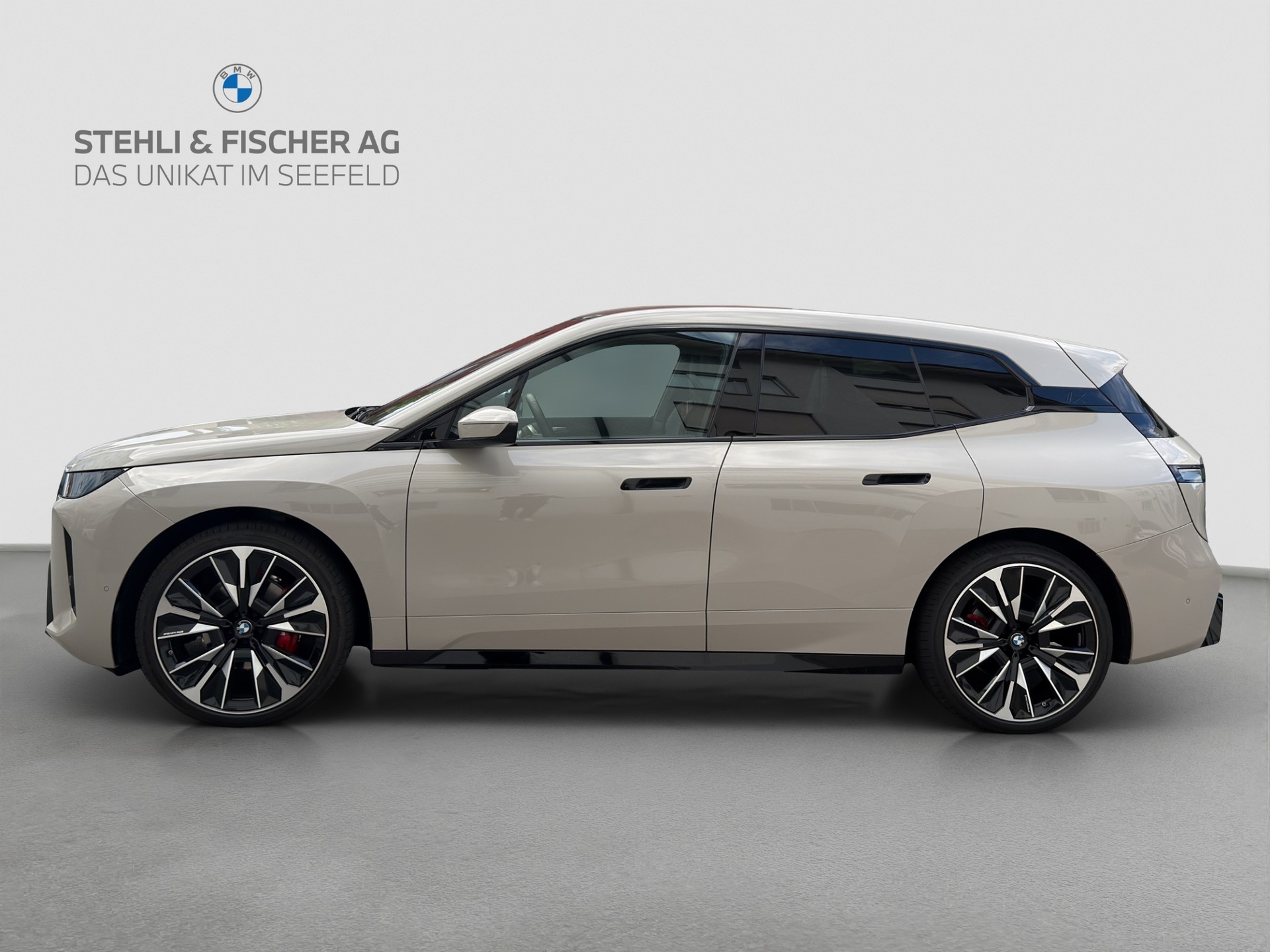 BMW iX xDrive60 M Sport Pro-image-2