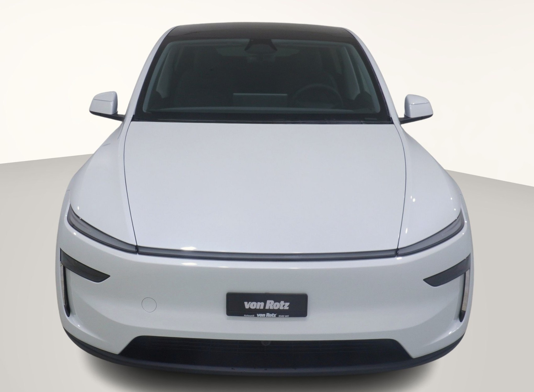 TESLA Model Y Premium AWD-image-6