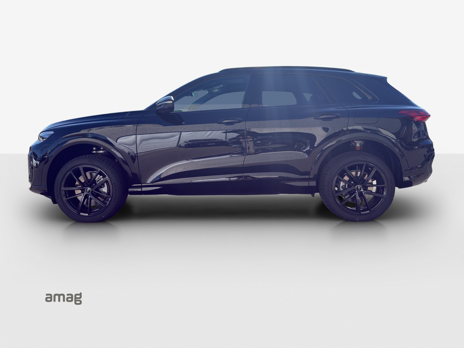 AUDI Q5 e-hybrid quattro 220 kW S-tronic-image-1