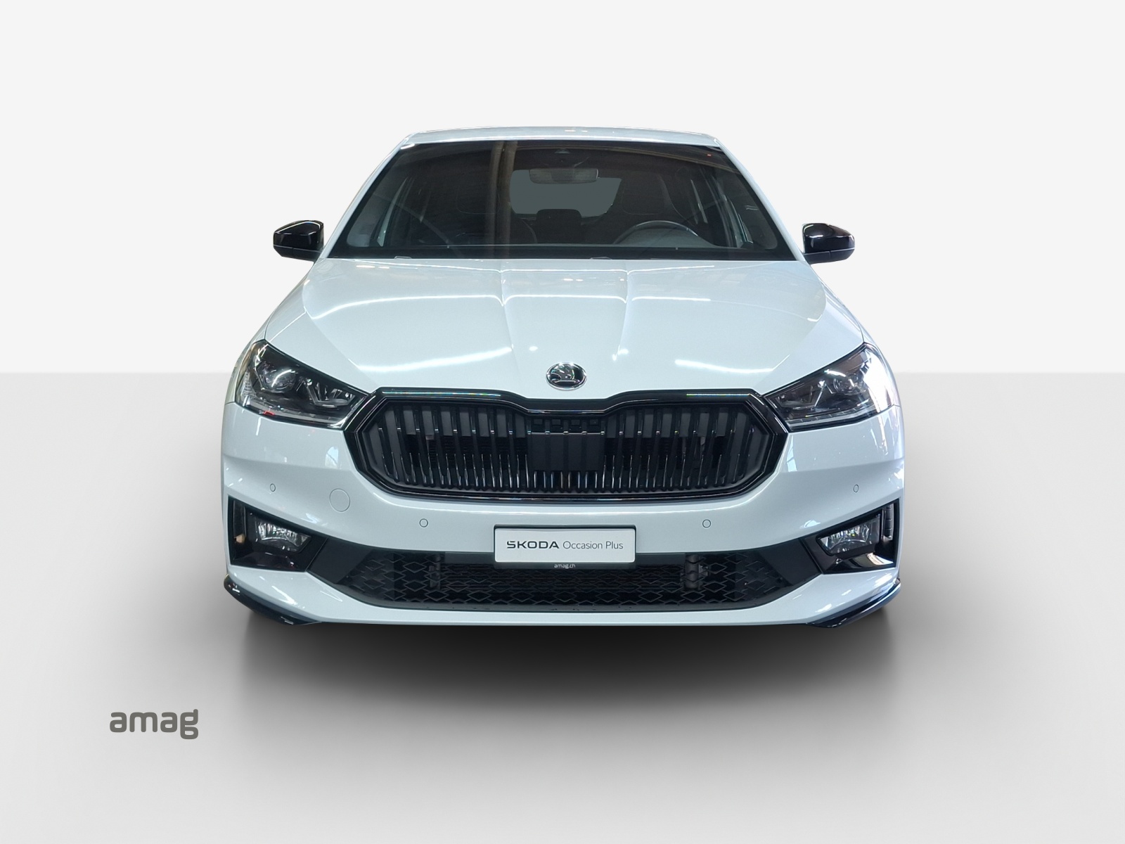 SKODA Fabia 1.5 TSI Monte Carlo DSG-image-6