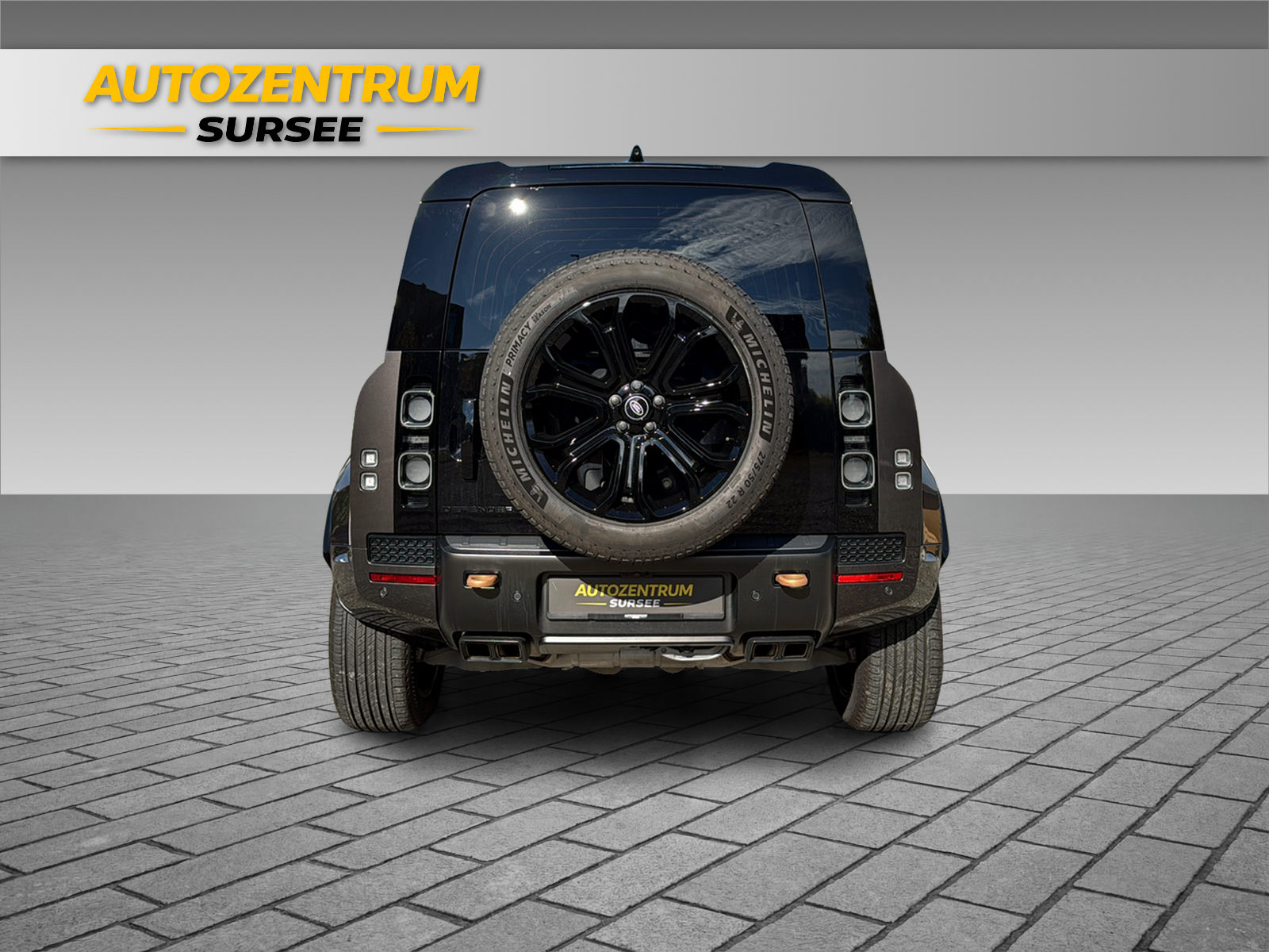 LAND ROVER Defender 110 4.4 V8 Octa-image-6