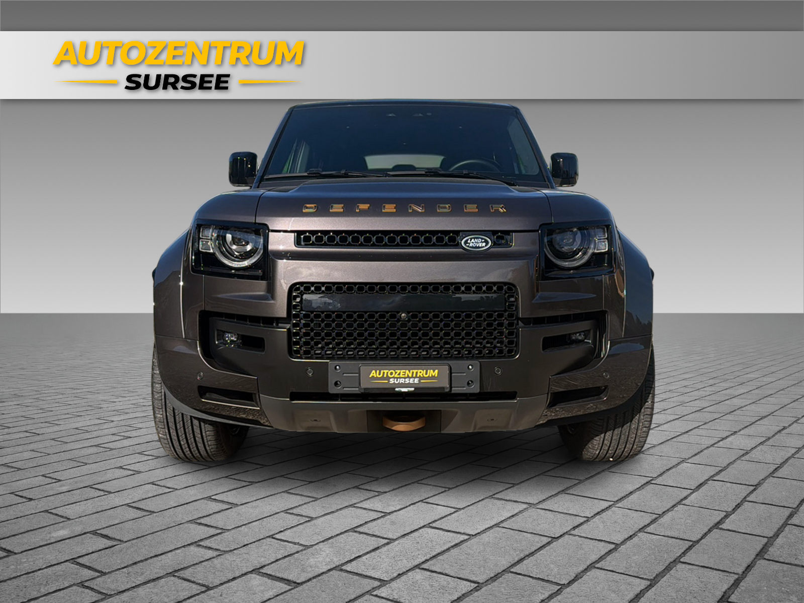 LAND ROVER Defender 110 4.4 V8 Octa-image-11