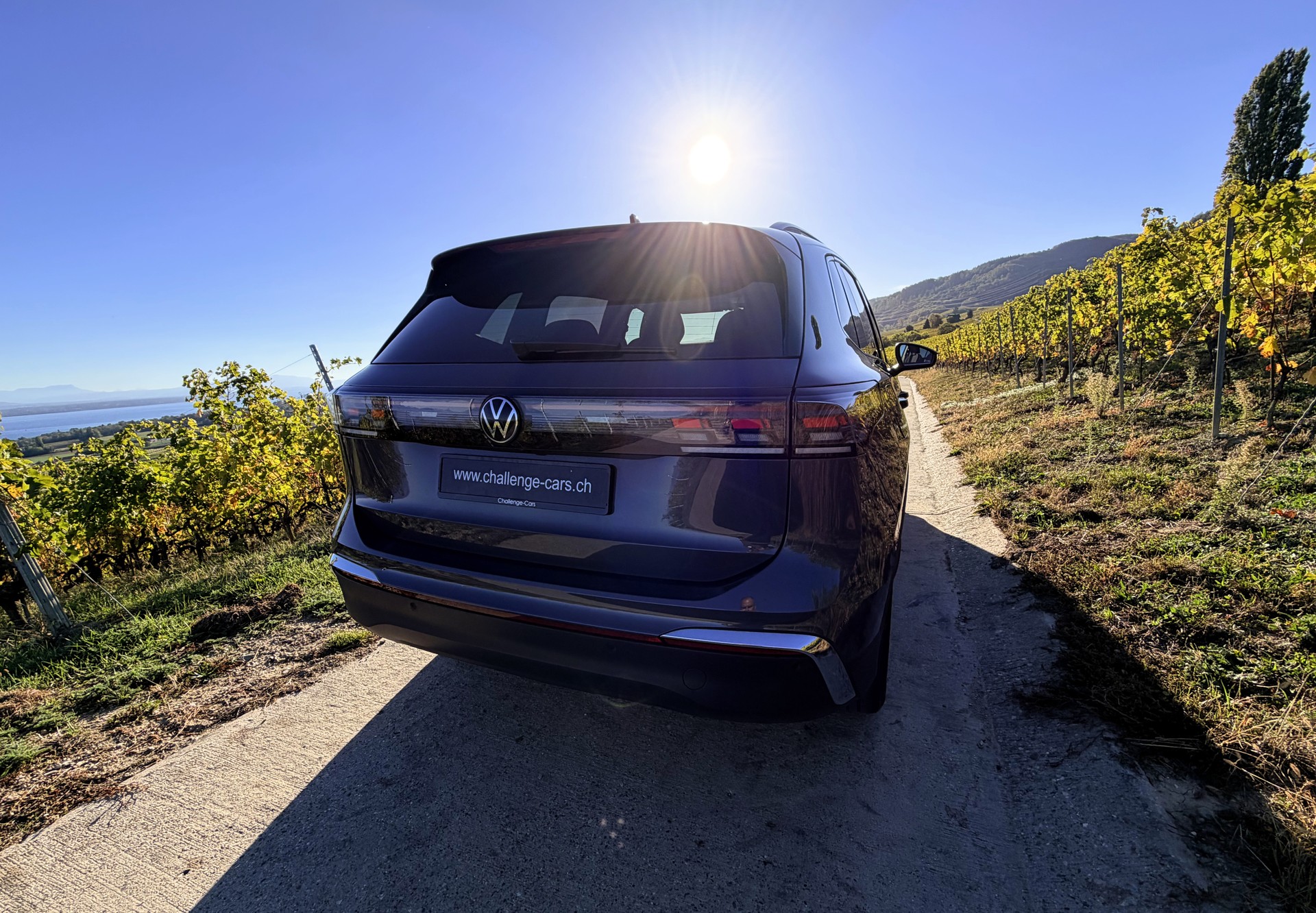 VW Tiguan 2.0 TDI SCR Elegance 4Motion DSG-image-6