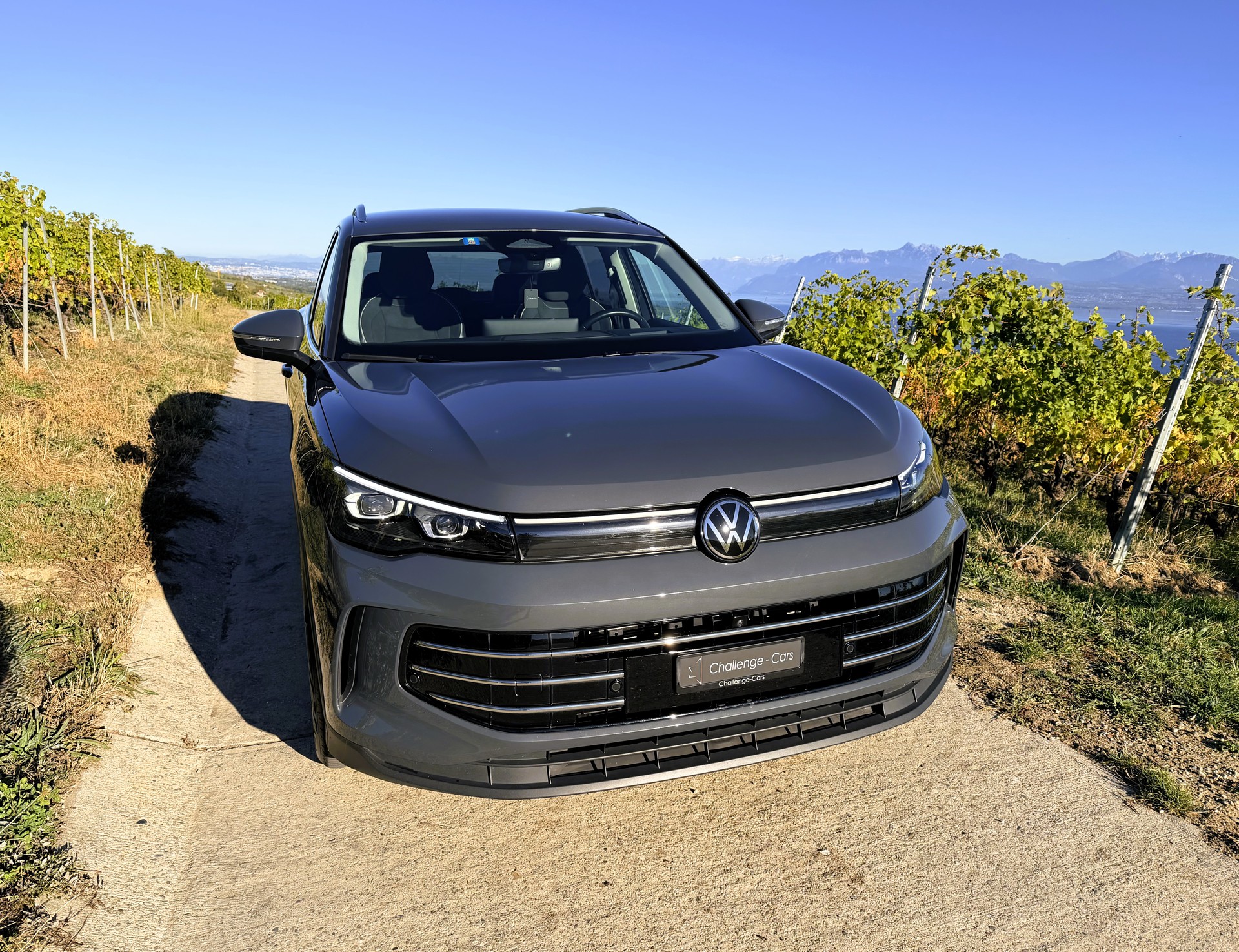 VW Tiguan 2.0 TDI SCR Elegance 4Motion DSG-image-1