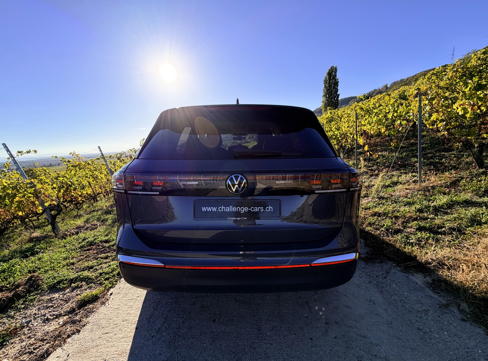 VW Tiguan 2.0 TDI SCR Elegance 4Motion DSG-image-7