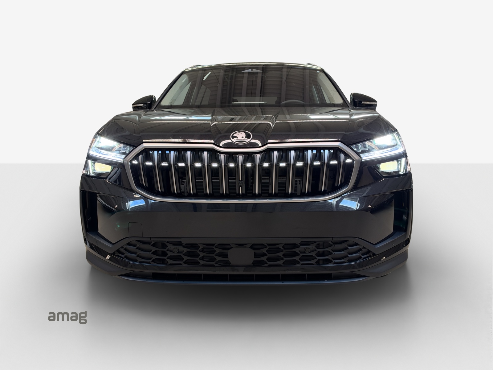 SKODA Kodiaq 2.0 TSI Selection 4x4-image-6