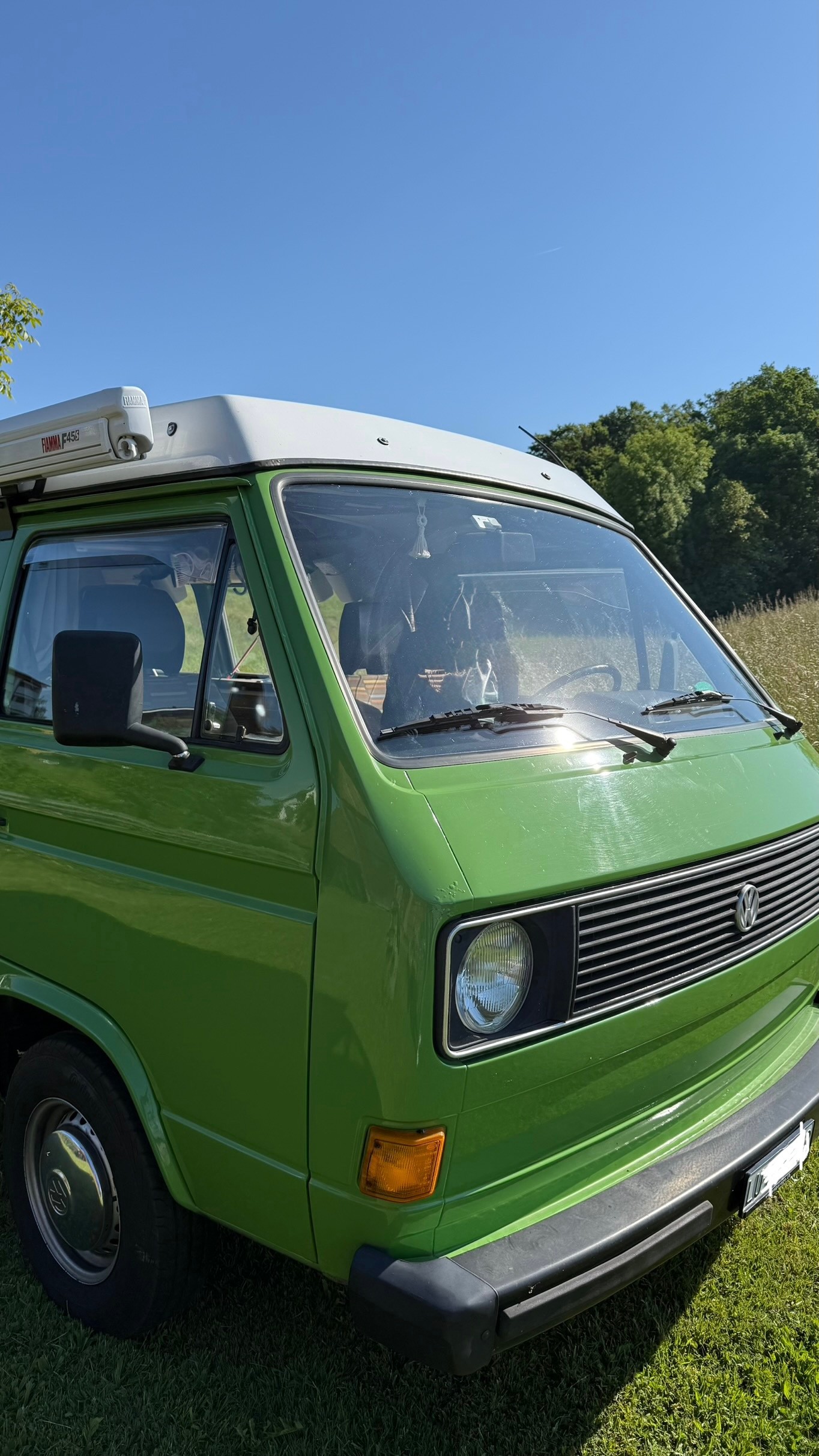 VW Typ 2 Westfalia-image-2