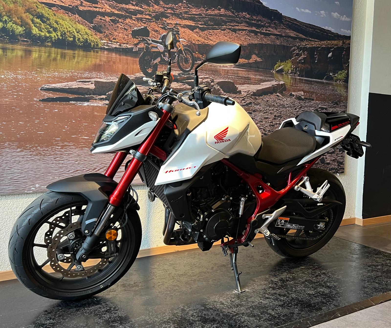 HONDA CB 750 Hornet-showroom-element-3