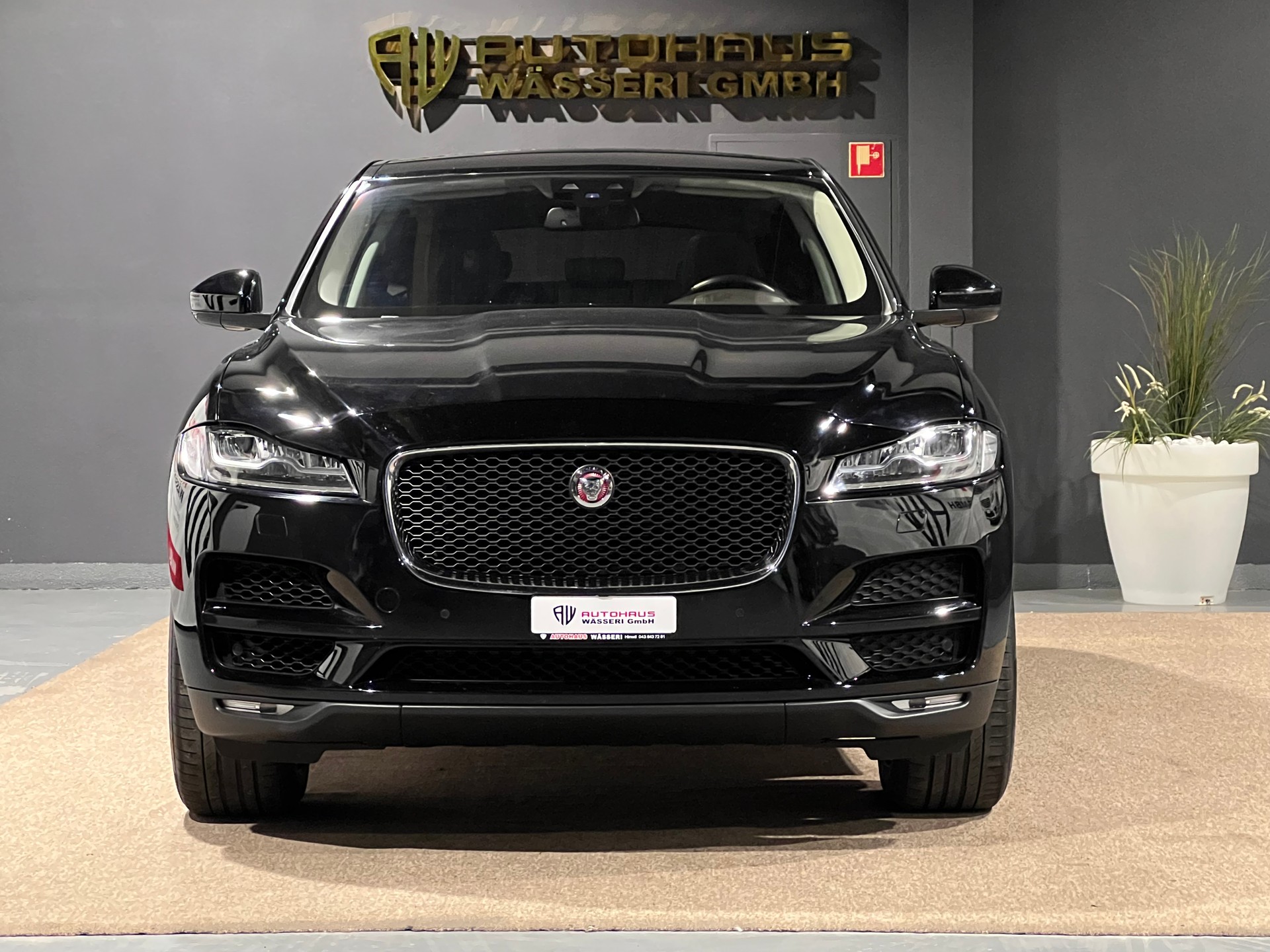 JAGUAR F-Pace 30t 2.0 Prestige AWD Automatik-image-8