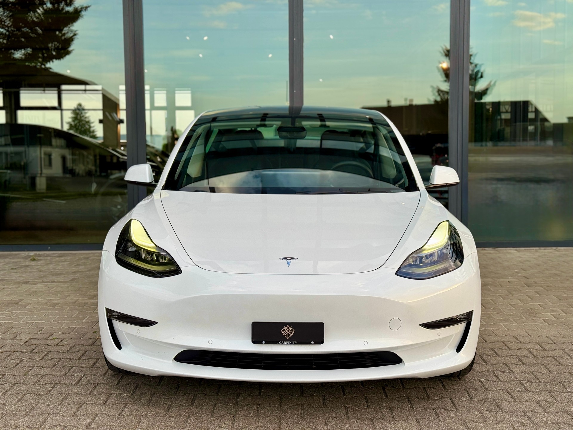 TESLA Model 3 Long Range Dual Motor AWD / AMD RYZEN-image-1