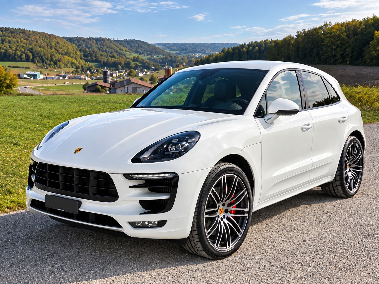 PORSCHE 3.0 V6 GTS-image-0