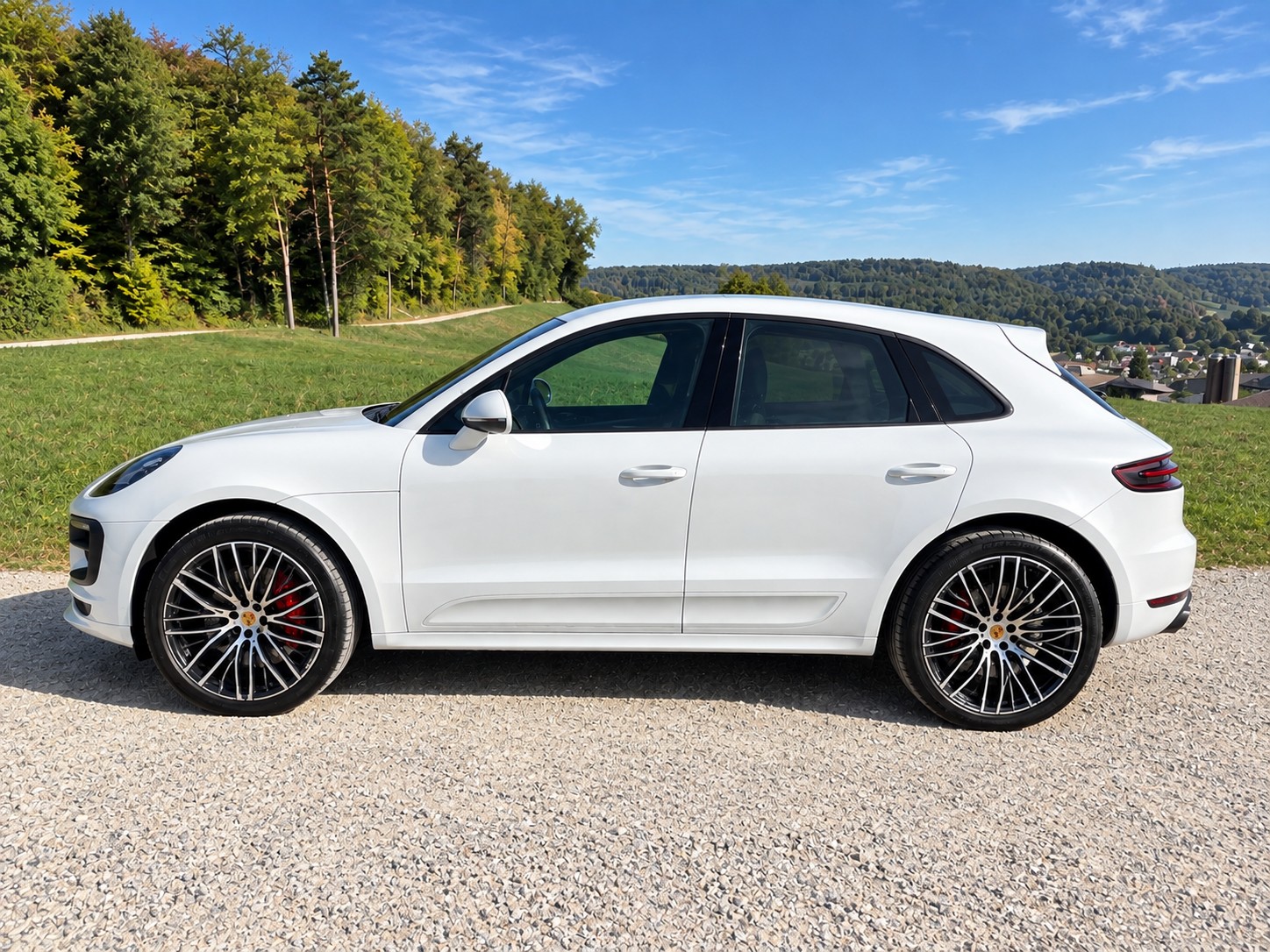 PORSCHE 3.0 V6 GTS-image-2