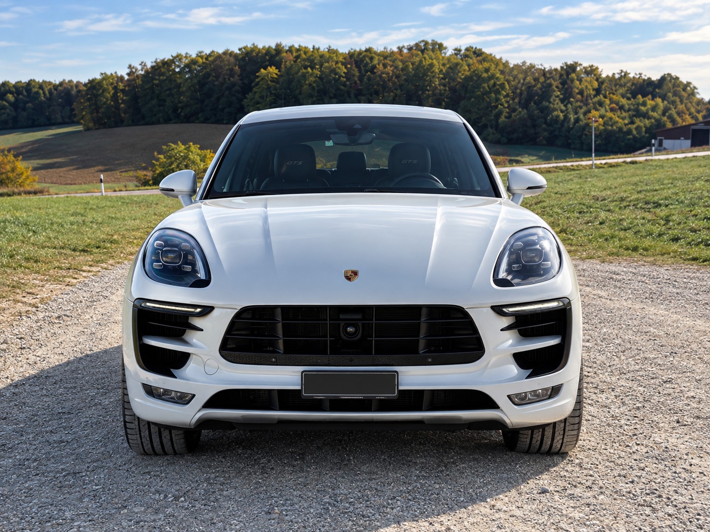 PORSCHE 3.0 V6 GTS-image-1