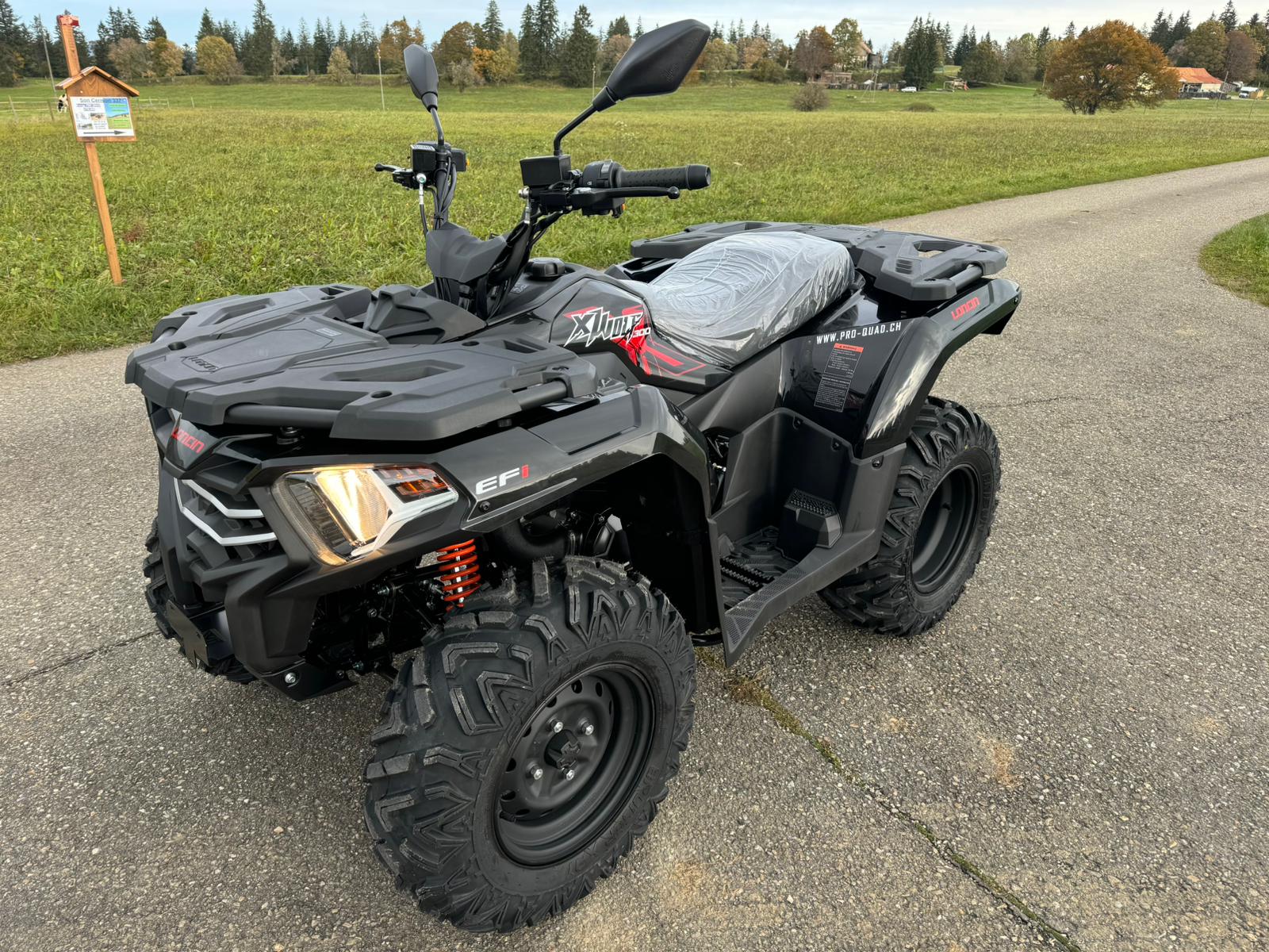 GOES Loncin XWolf 300-image-6