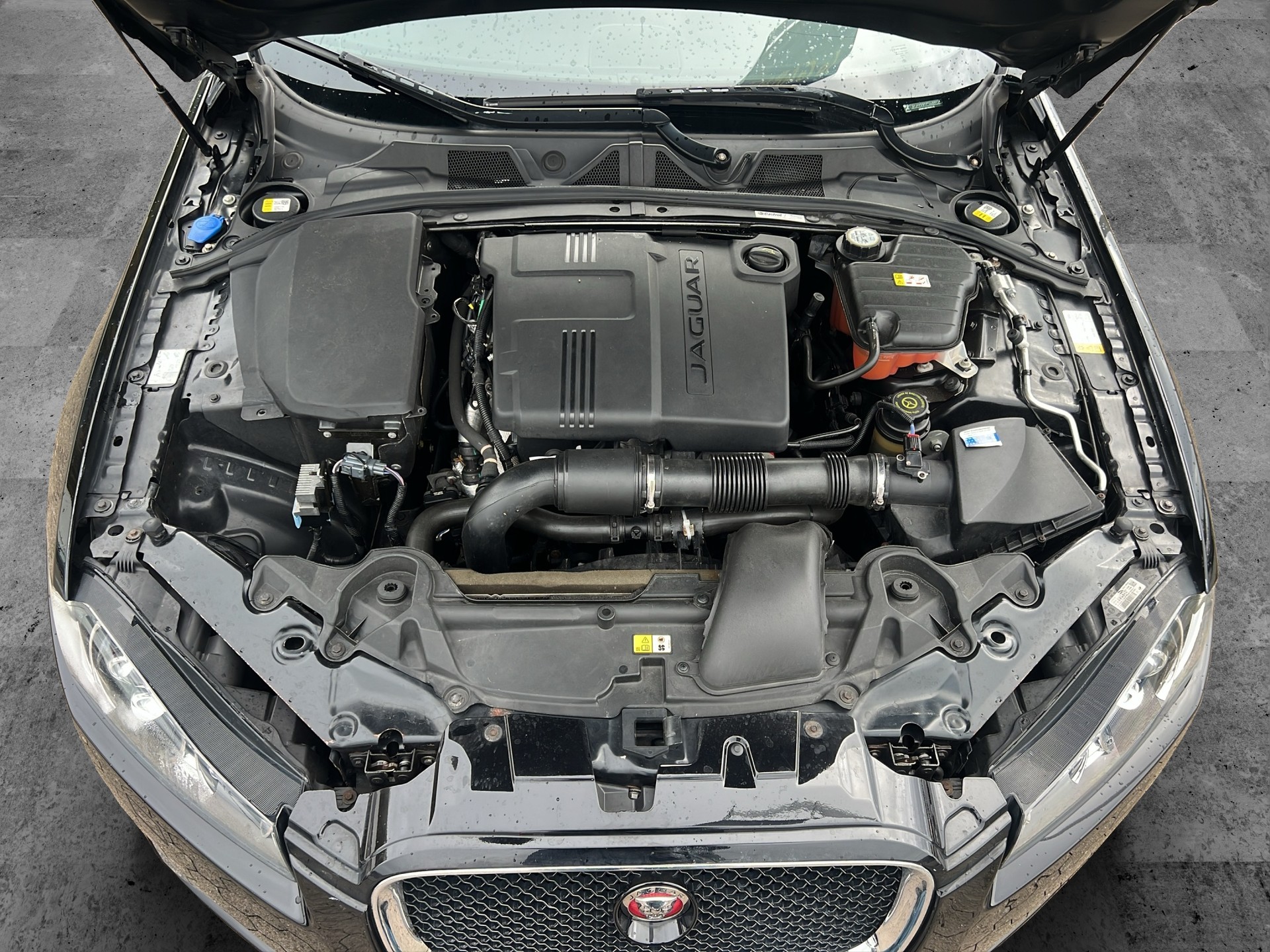 JAGUAR XF 2.2d-image-11