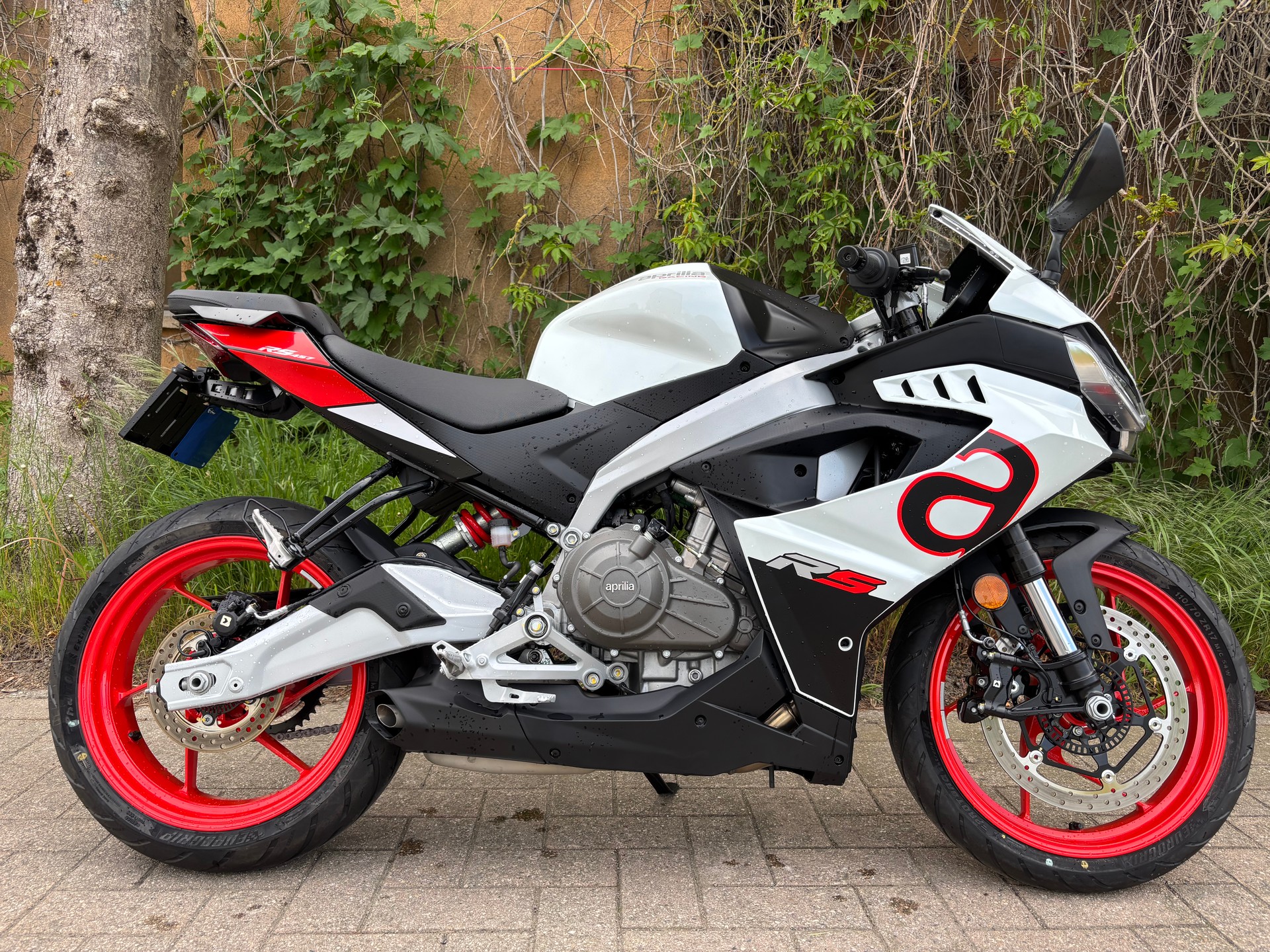 APRILIA RS 457 (35kW) E5+-image-1