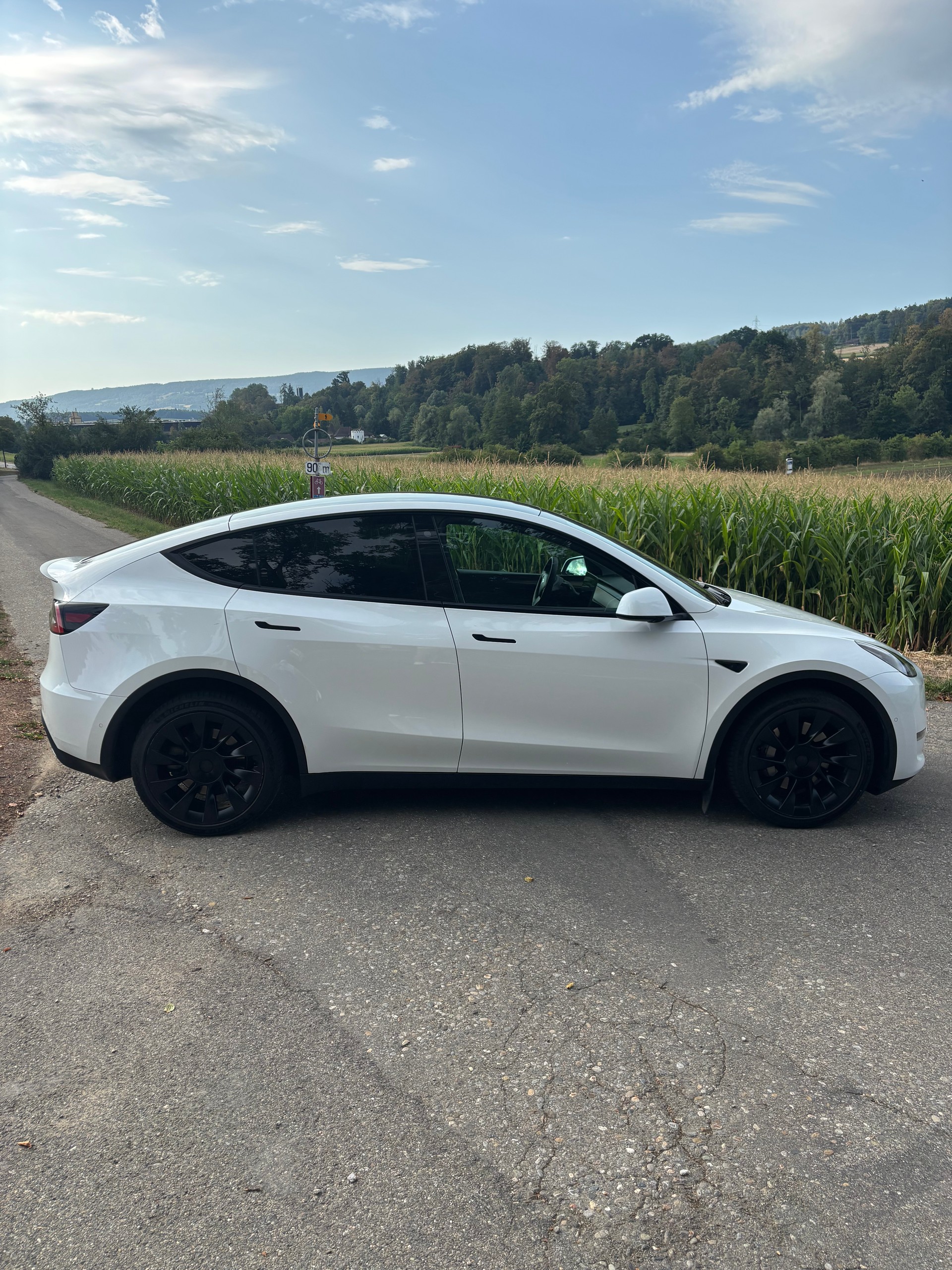 TESLA Long Range D-image-1