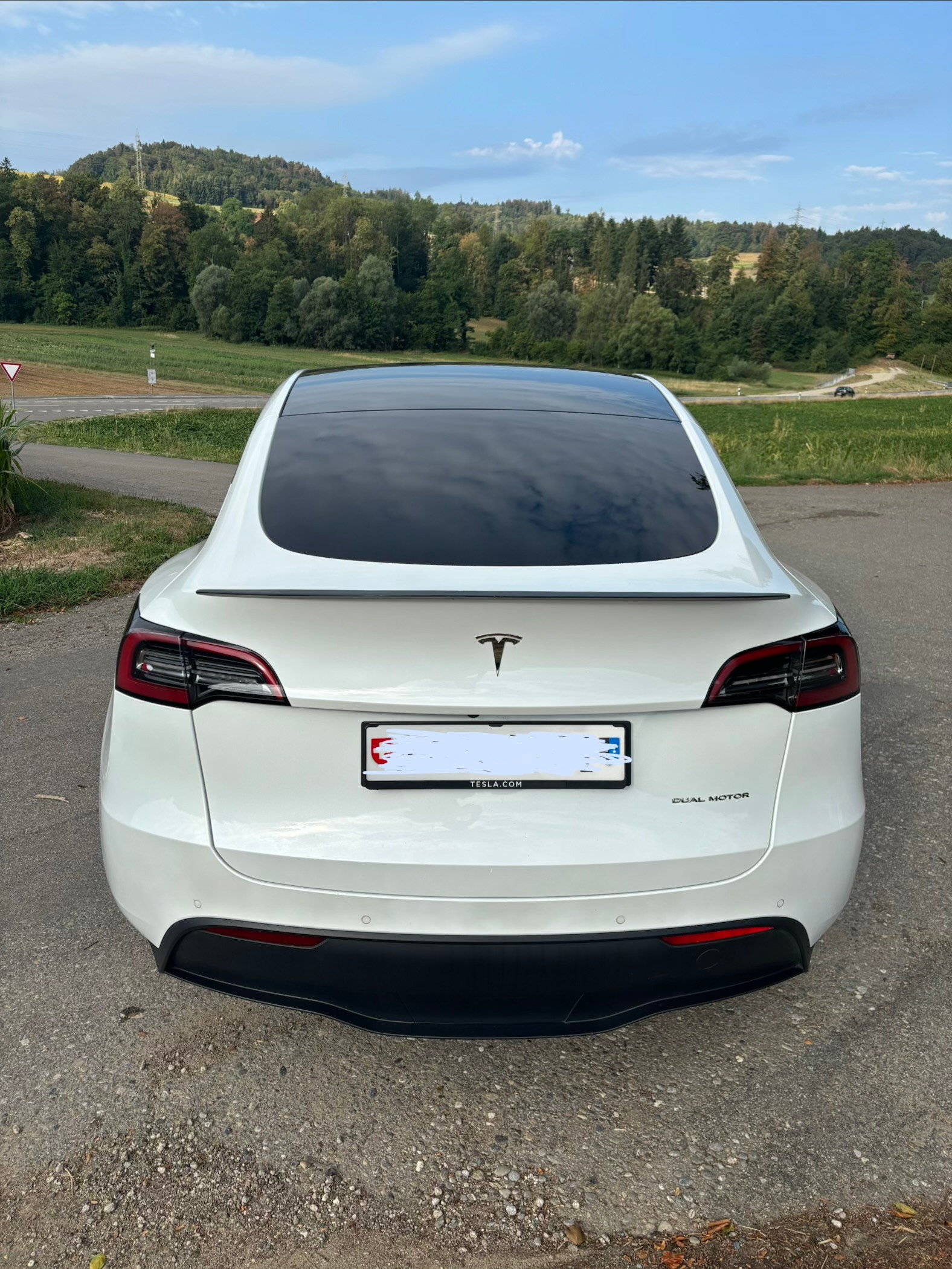 TESLA Long Range D-image-2