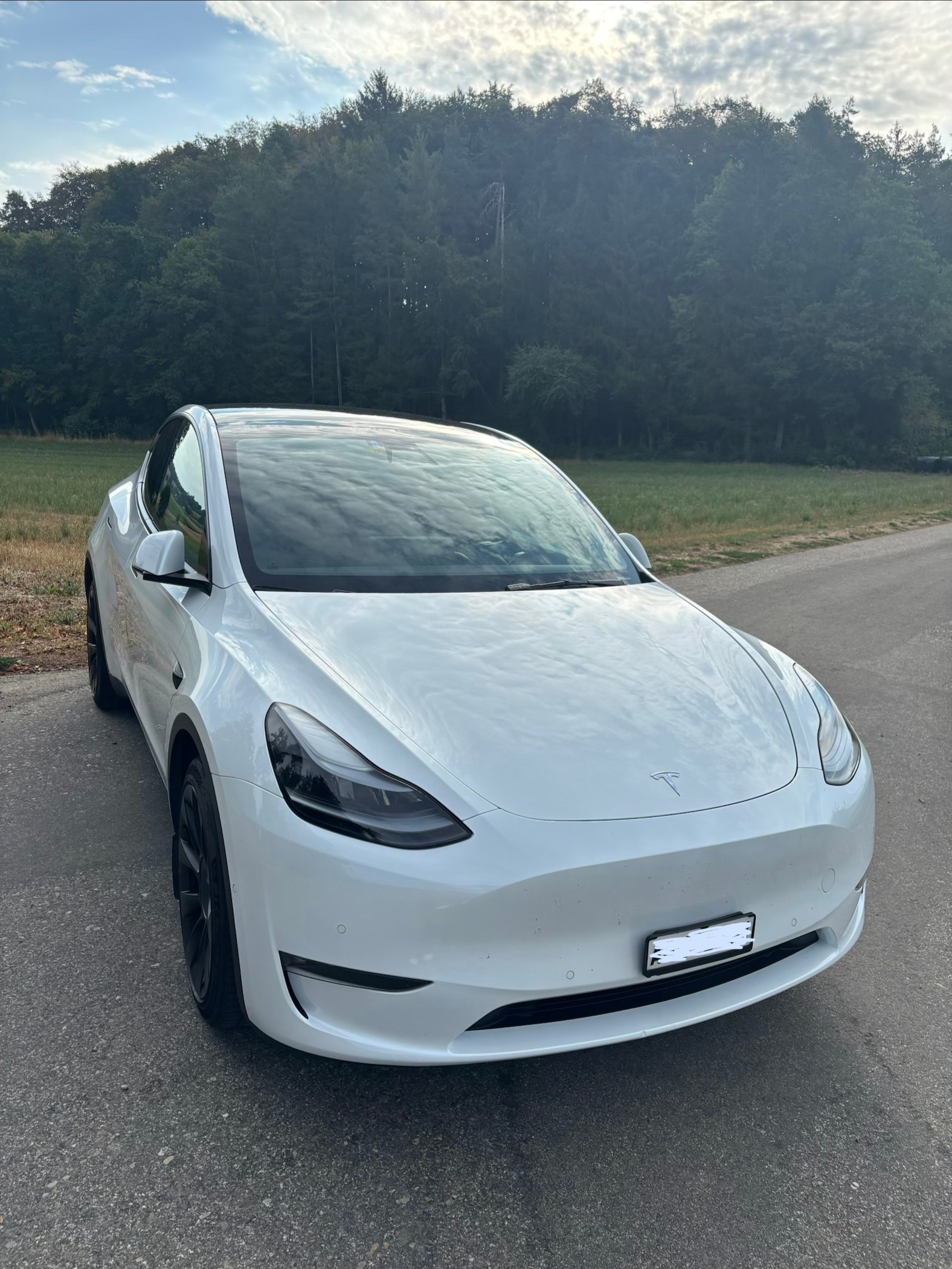 TESLA Long Range D-image-0