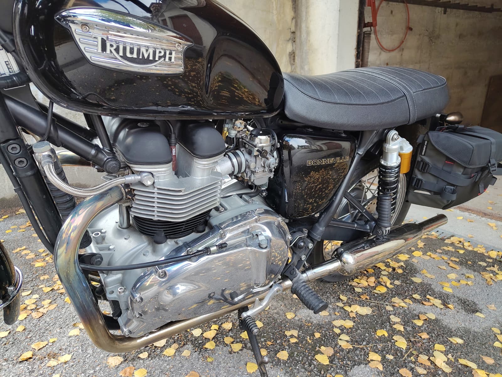 TRIUMPH Bonneville 800-image-1