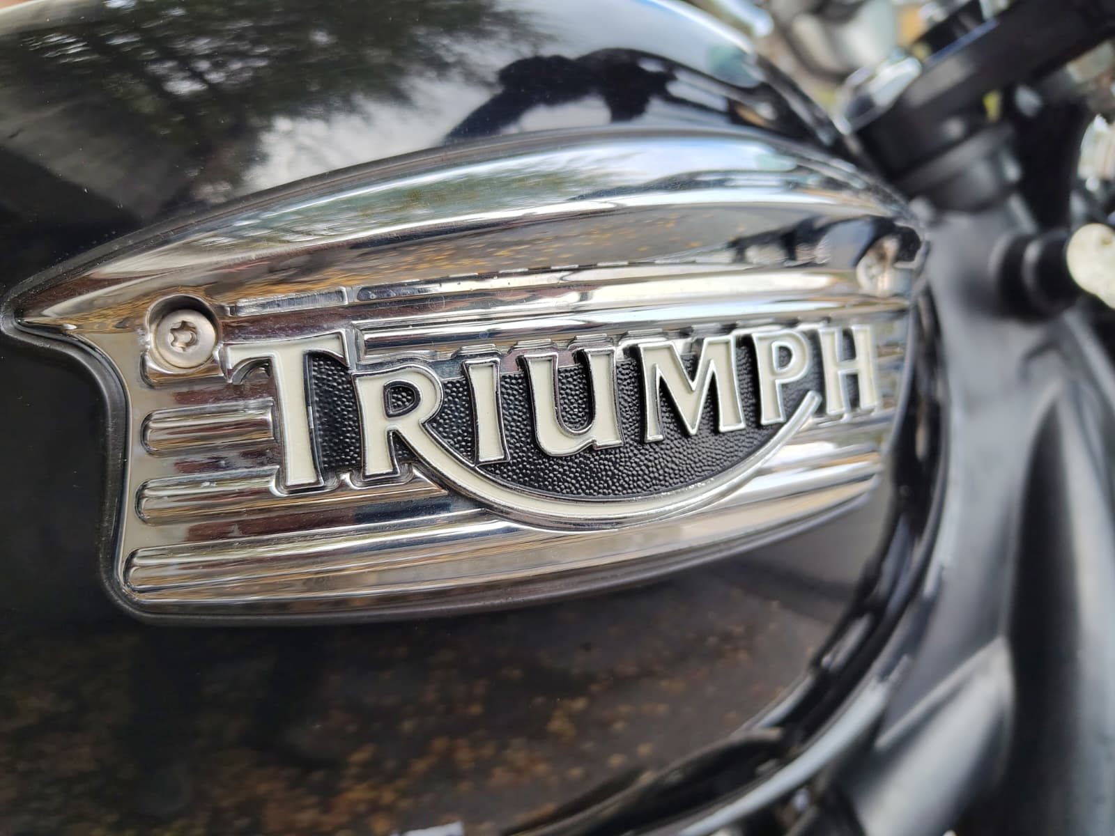 TRIUMPH Bonneville 800-image-4
