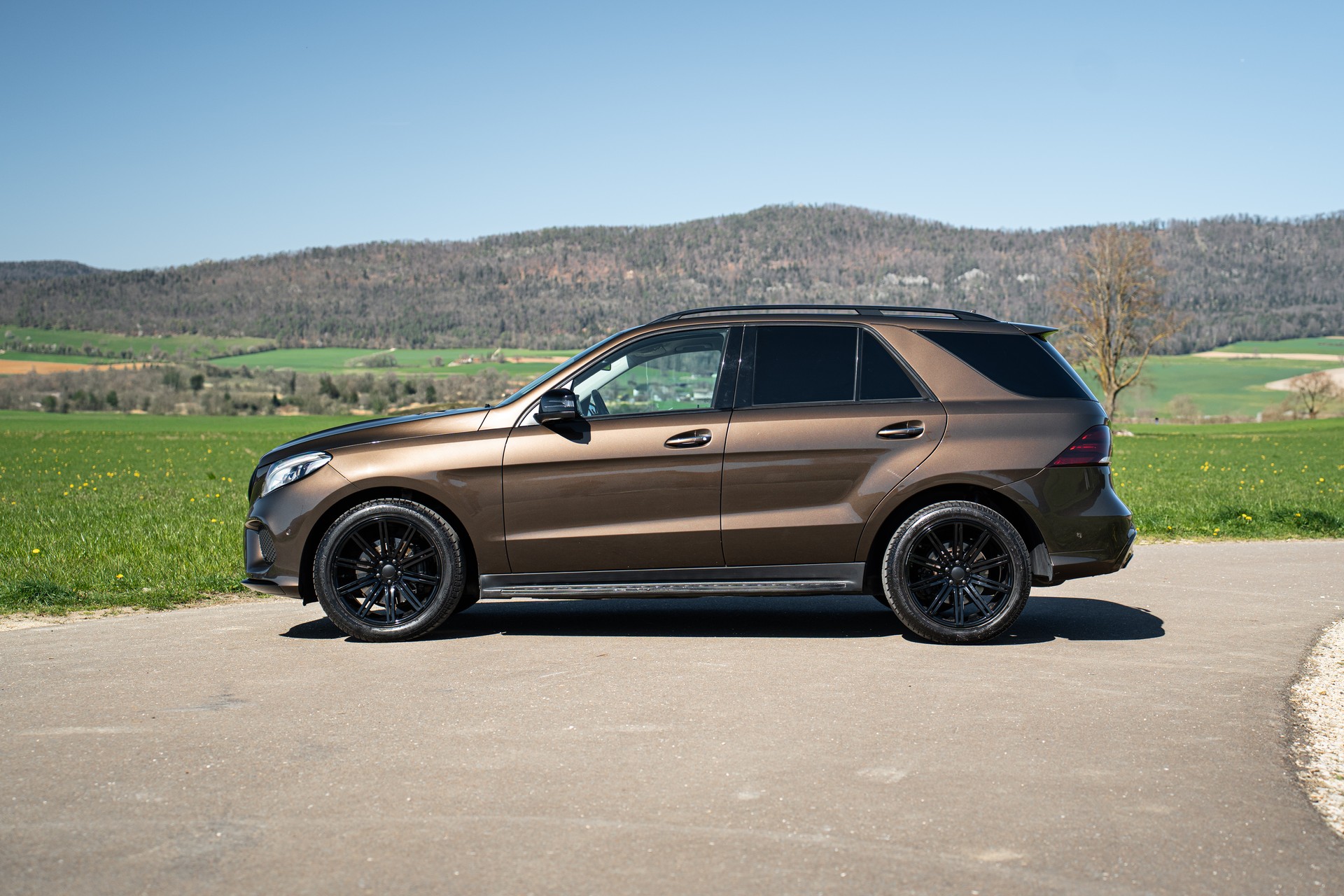 MERCEDES-BENZ GLE 250 d 4Matic 9G-Tronic-image-2