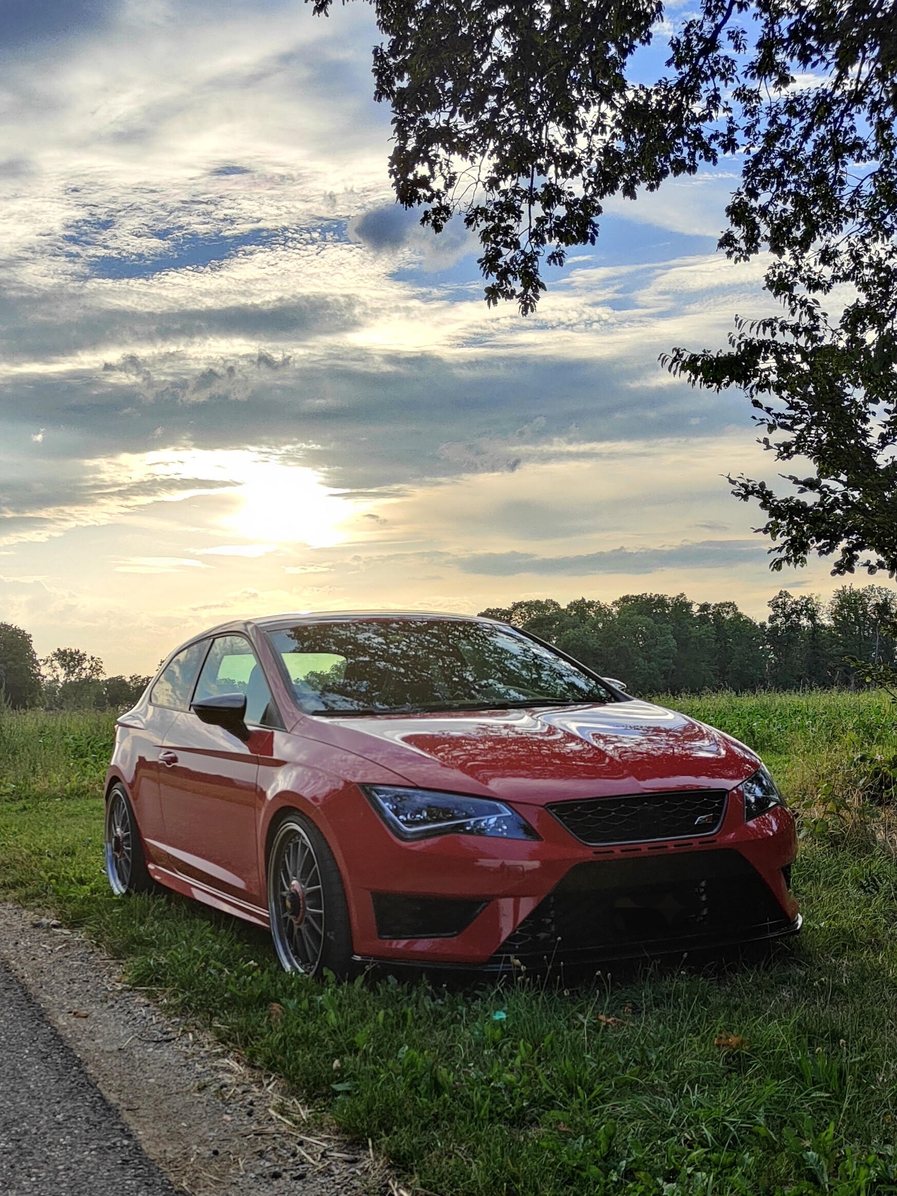 SEAT Leon SC 2.0 TSI Cupra 280 DSG-image-0