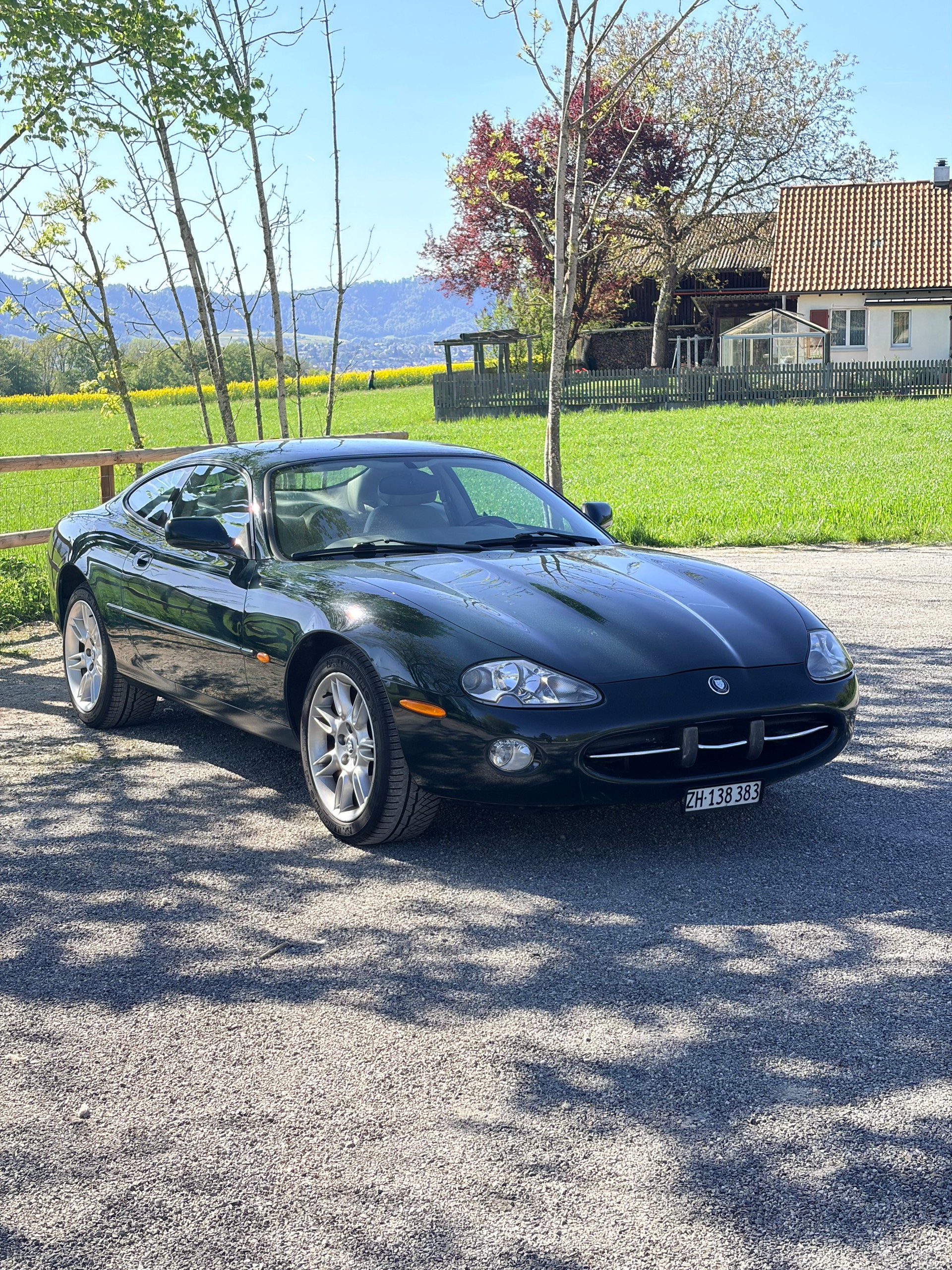 JAGUAR XK8