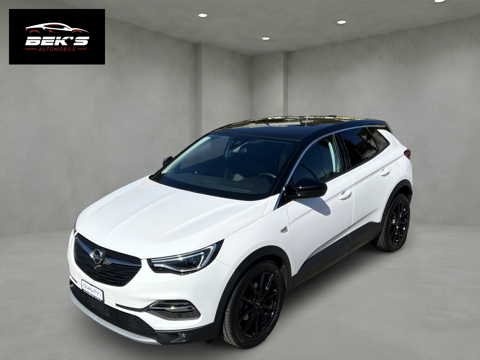 OPEL Grandland X 2.0CDTi Ultimate Automatik-image-10