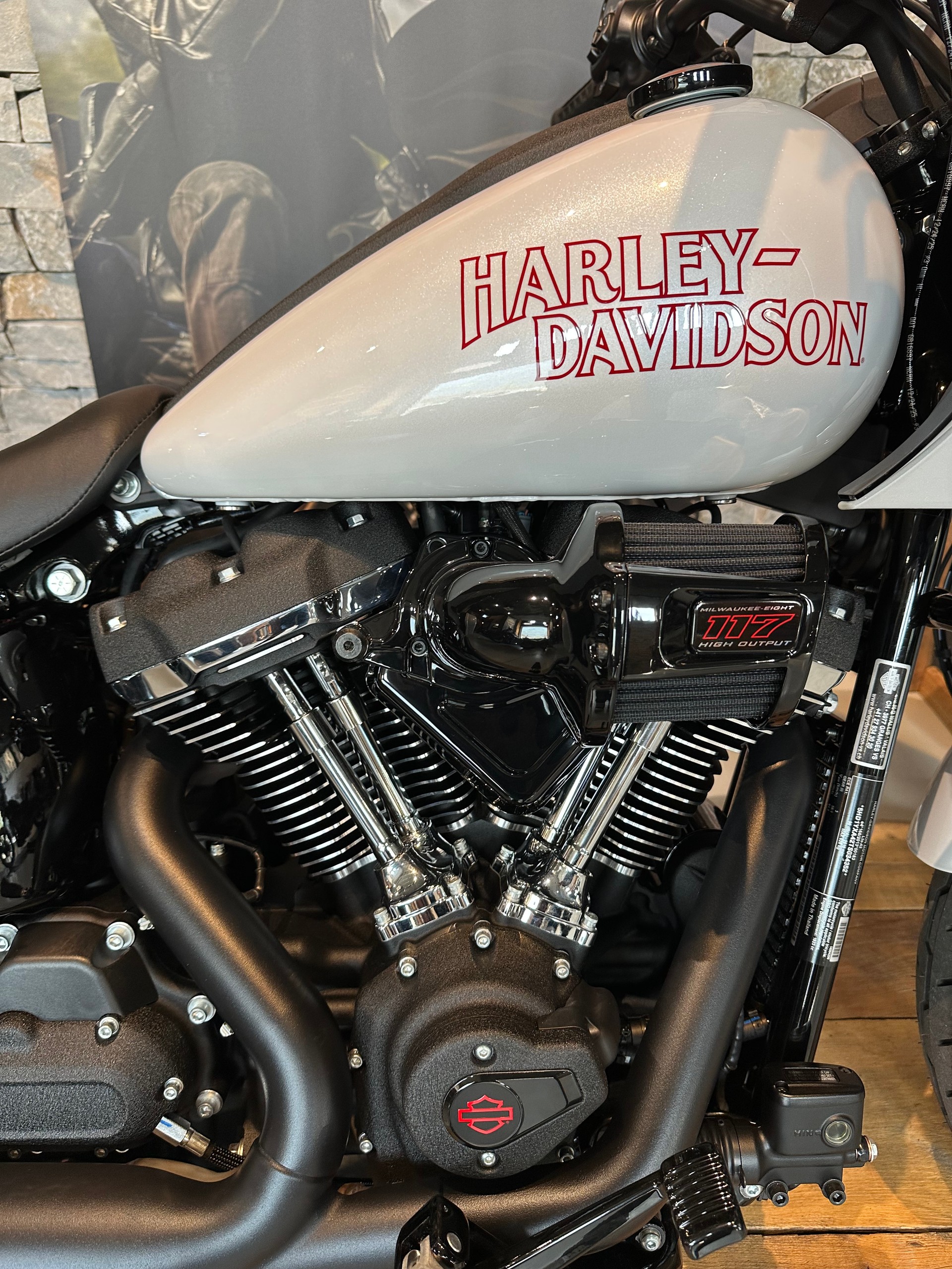 HARLEY-DAVIDSON FXLRST Low Rider ST 117ci-showroom-element-3