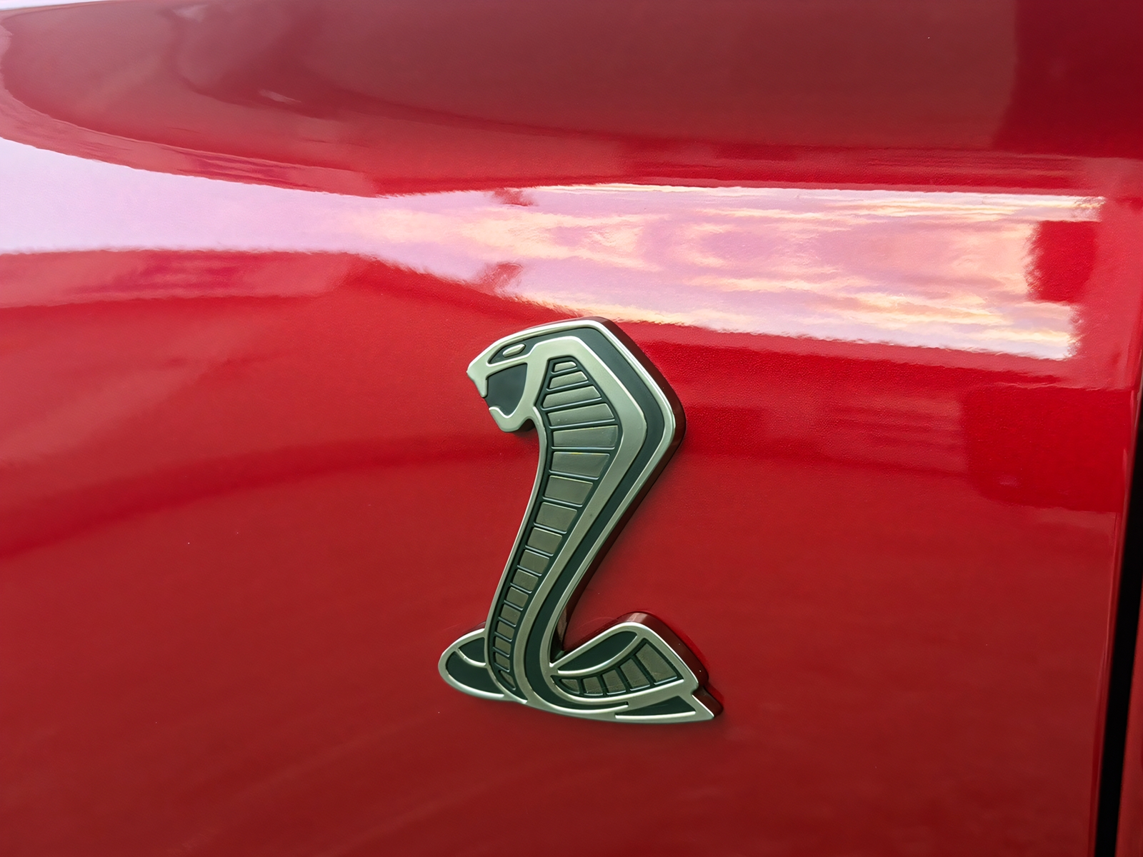FORD MUSTANG Shelby GT500-image-20