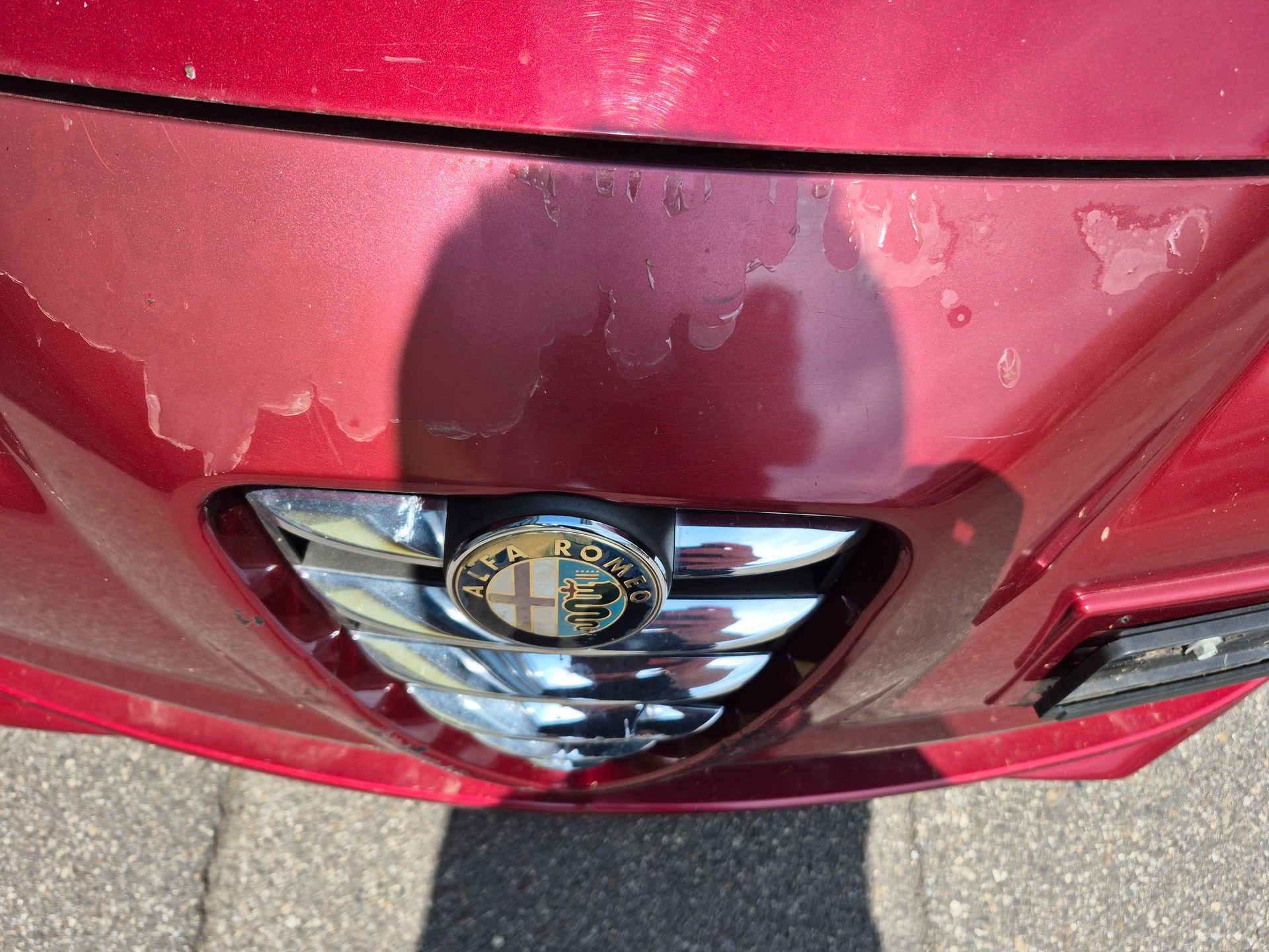 ALFA ROMEO MiTo 1.6 JTD Progression-image-7