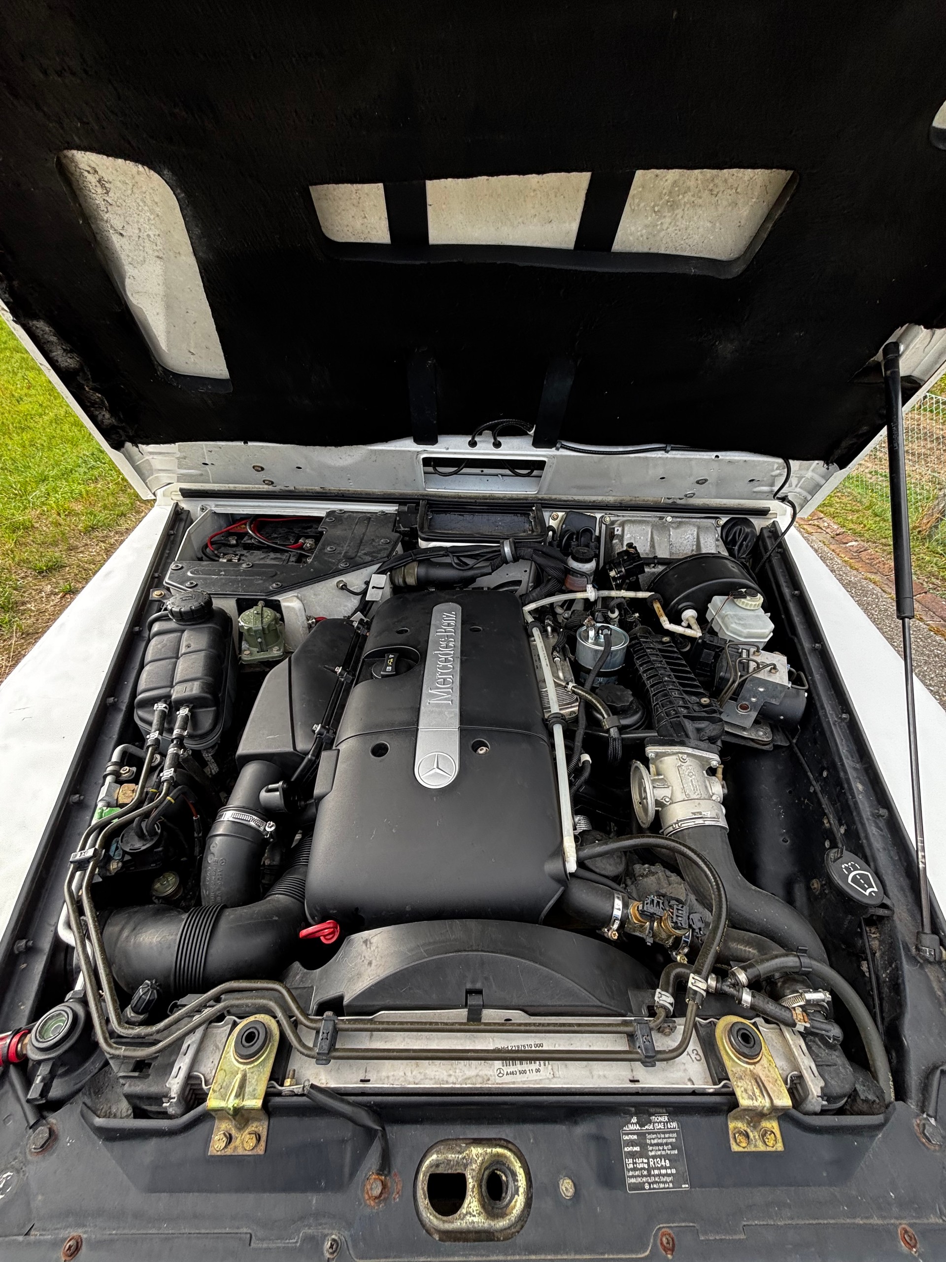 MERCEDES-BENZ G270 Work-image-11