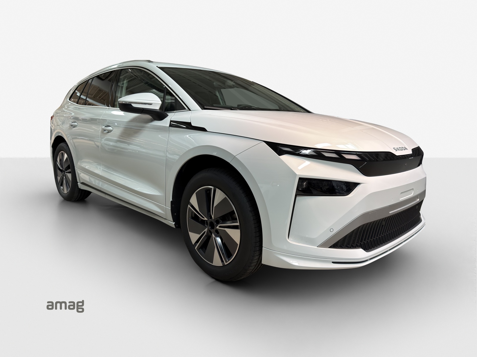 SKODA Enyaq 85x Dynamic 4x4-image-5