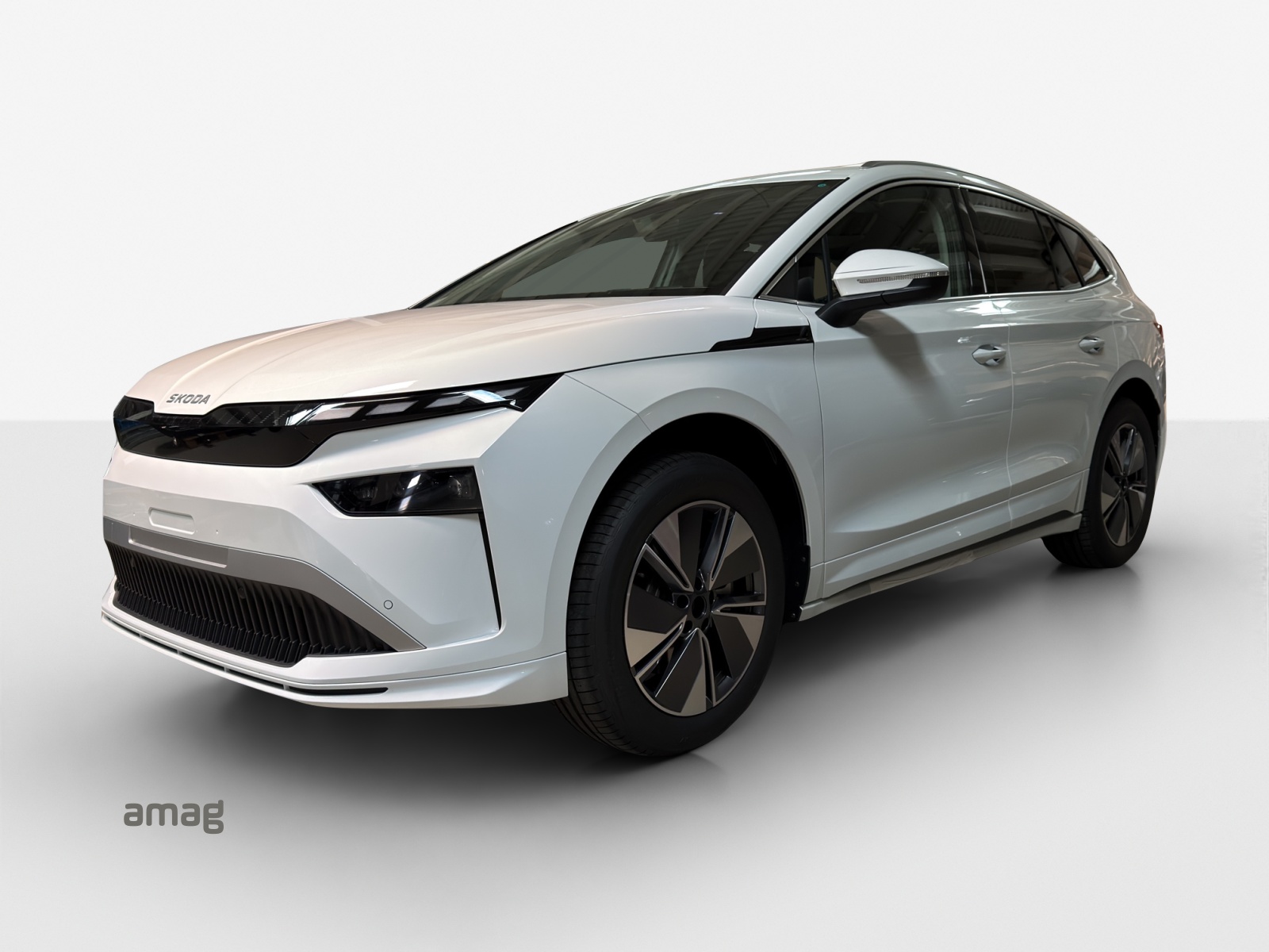 SKODA Enyaq 85x Dynamic 4x4-image-0