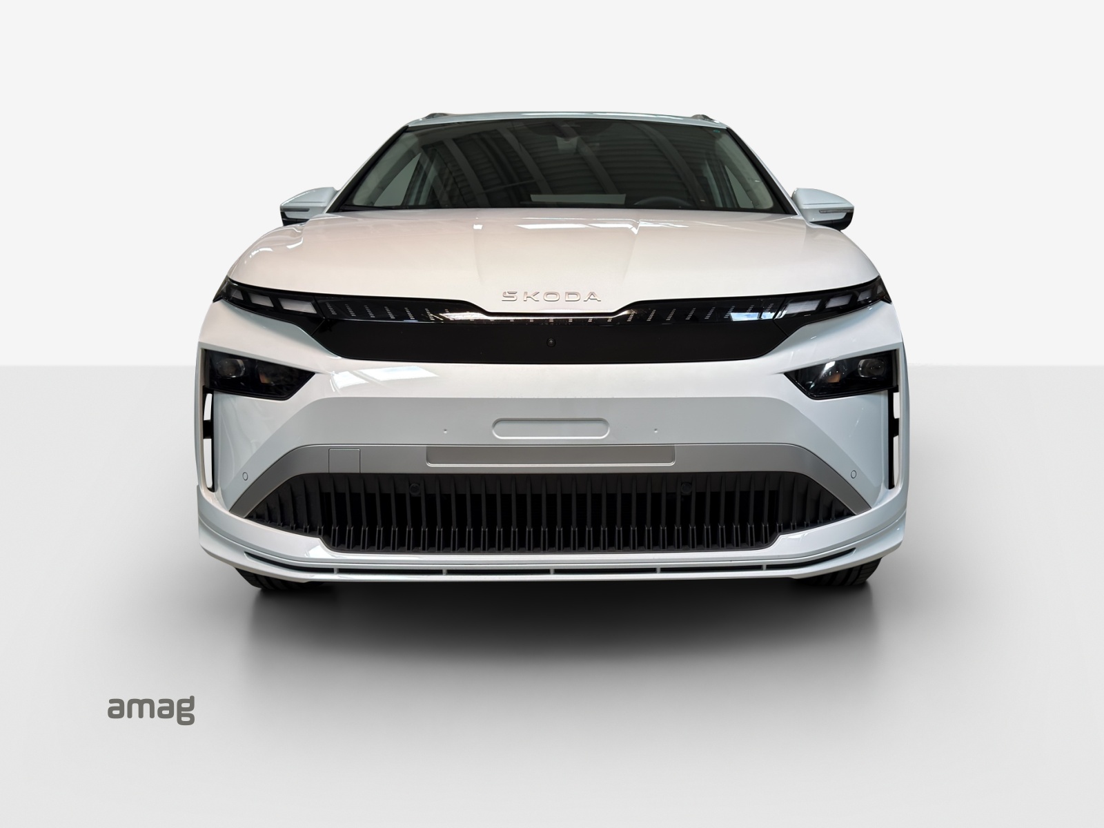 SKODA Enyaq 85x Dynamic 4x4-image-6