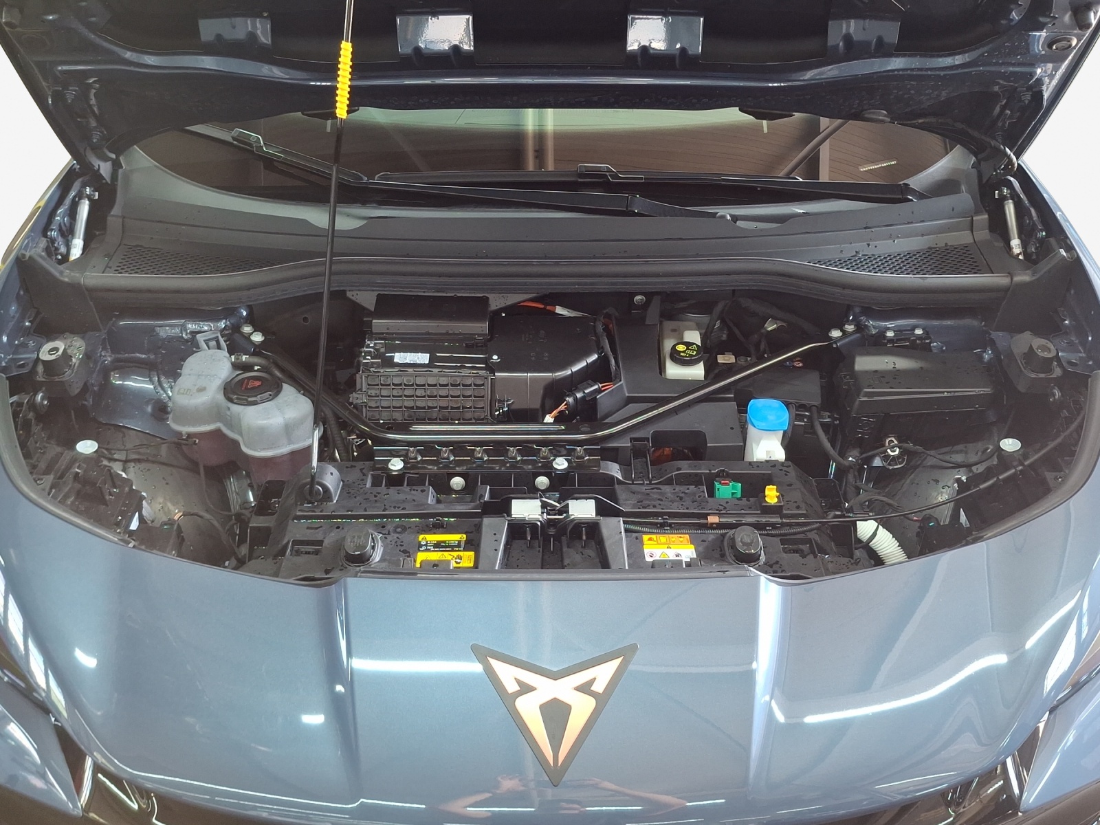 CUPRA Tavascan Type 8 77 kWh VZ-image-15